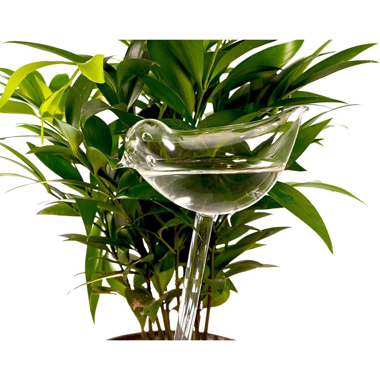 Esferas de Riego Automático de Vidrio Ahhute - Paquete de 2