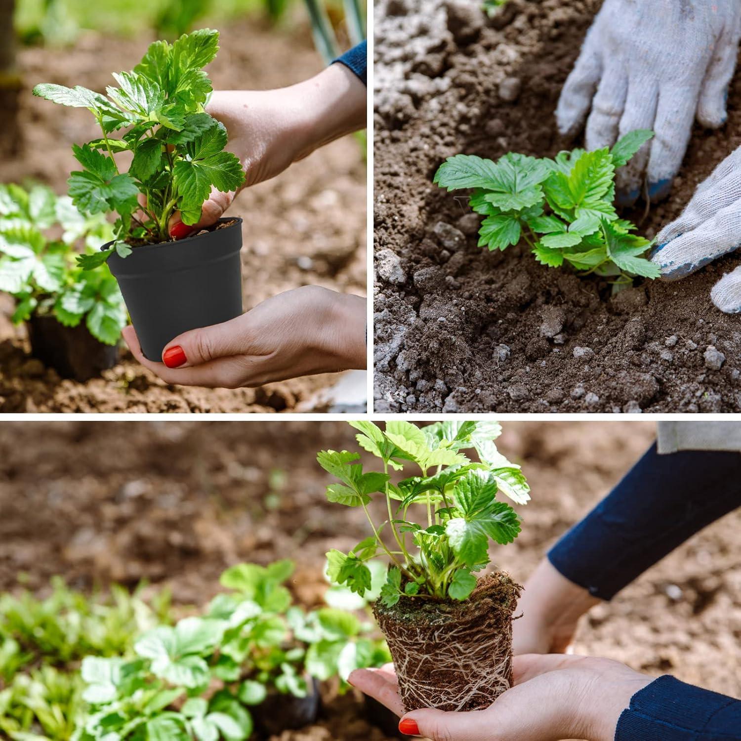 Macetas de 10 cm SwinDuck, paquete de 28 con platos y drenaje