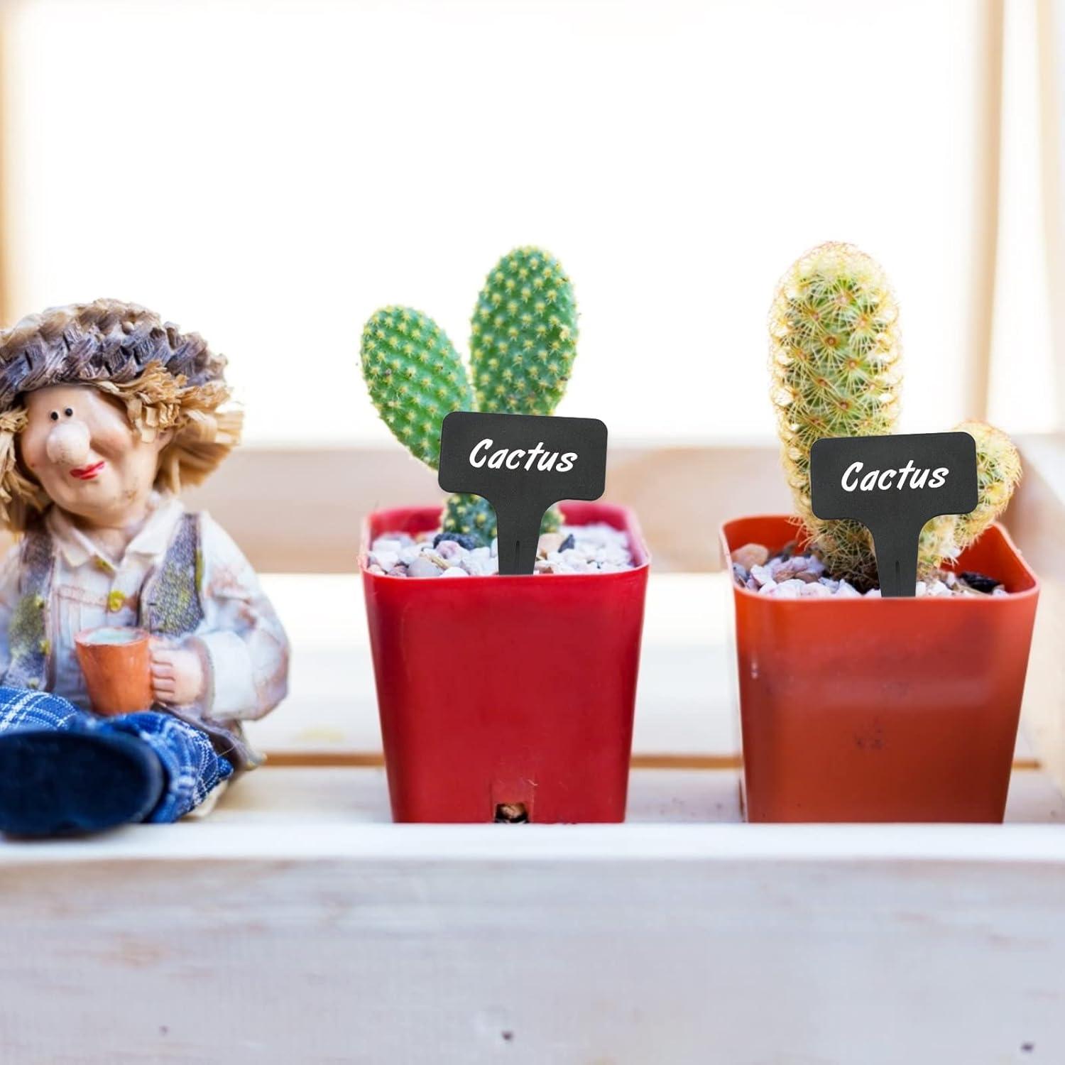 100 Etiquetas de Plástico Negras KINGLAKE para Jardín 6x10 cm