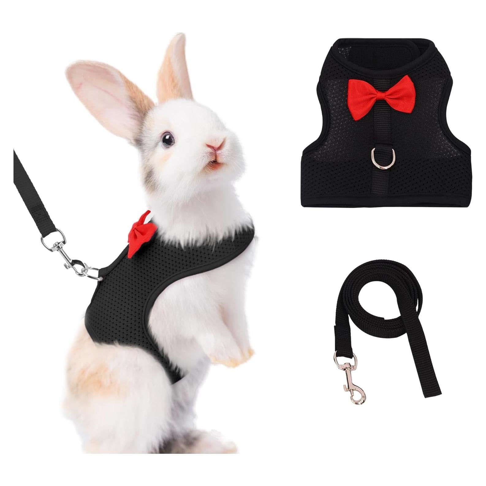 Conjunto Arnés y Correa AIITLE para Conejos y Mascotas Pequeñas