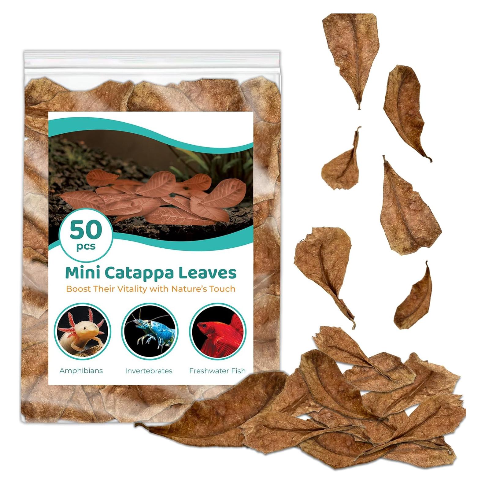 Hojas de Catappa SunGrow 50 pcs para Betta 5.08 cm