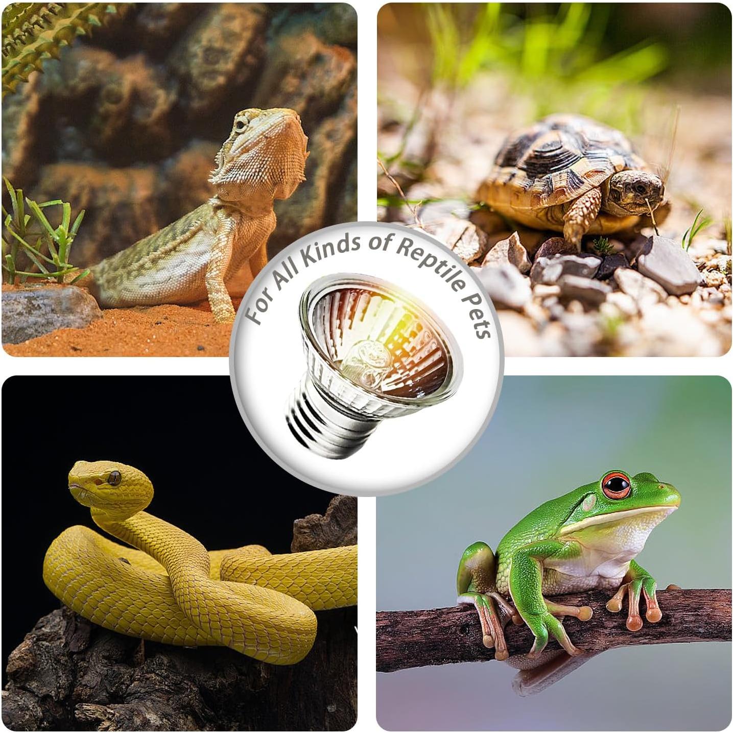 Paquete de 2 bombillas de calor UVA UVB 25W KOHEOPT para reptiles