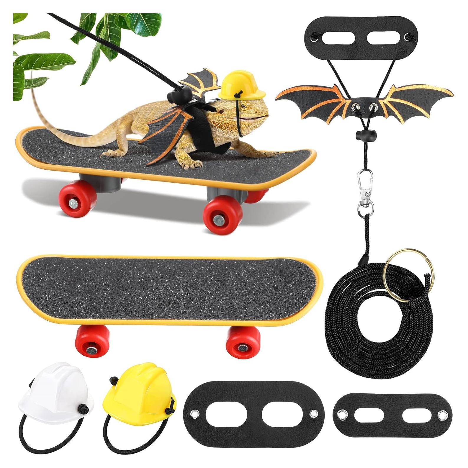 Conjunto de Juguetes para Dragón Barbudo Chivao - 5 Piezas