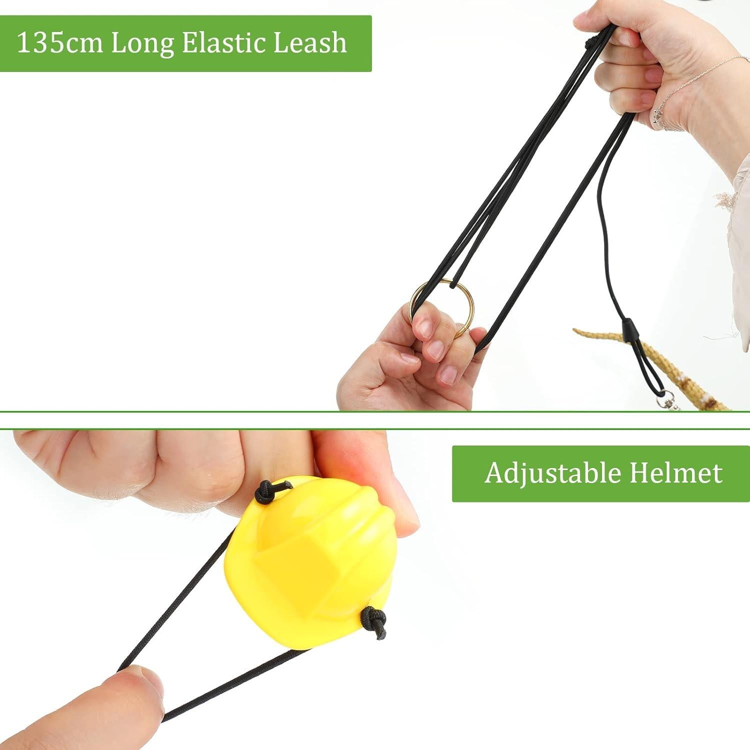 Conjunto de Juguetes para Dragón Barbudo Chivao - 5 Piezas