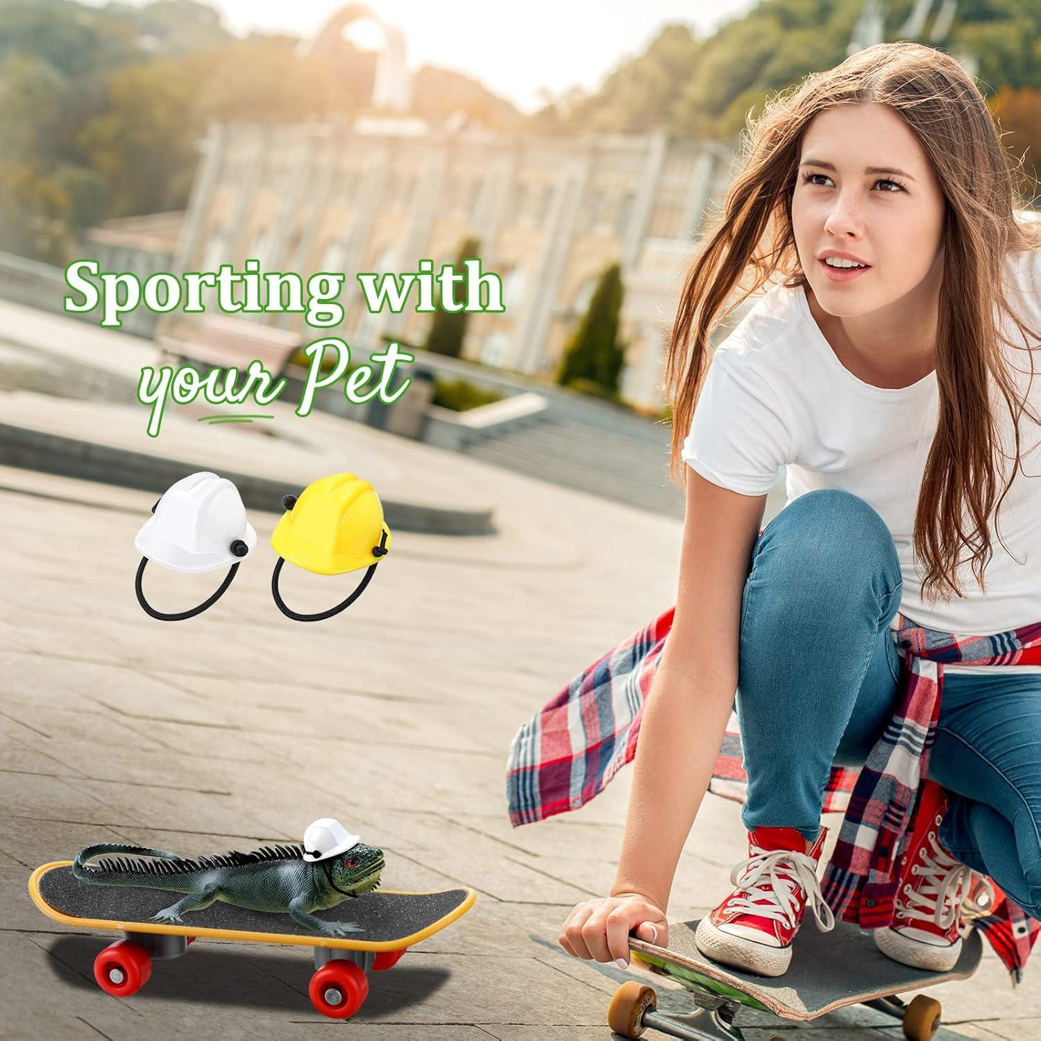 Conjunto de Juguetes para Dragón Barbudo Chivao - 5 Piezas