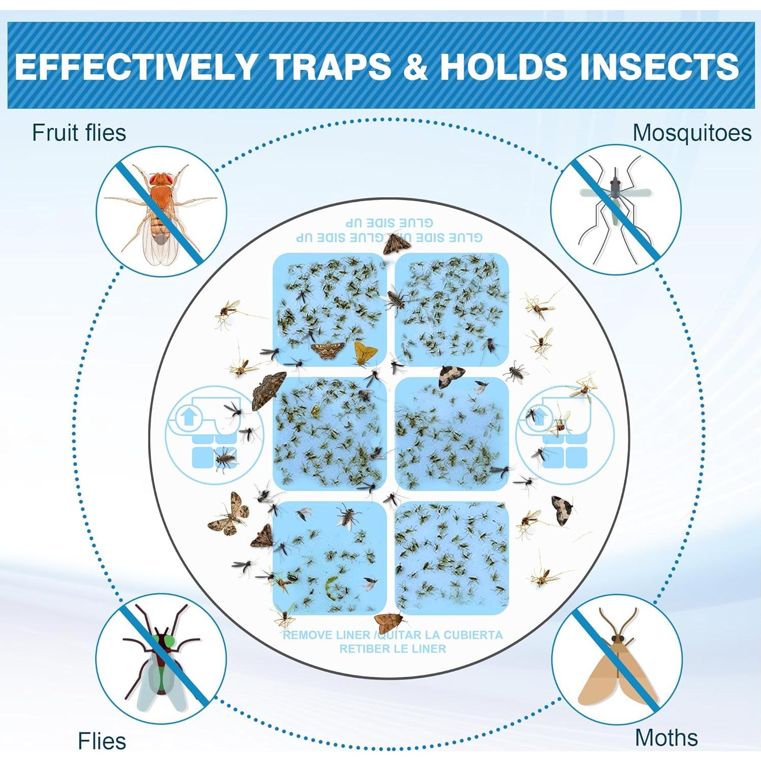 Qualirey 30 Recargas de Tarjetas de Pegamento DT152 para Insectos