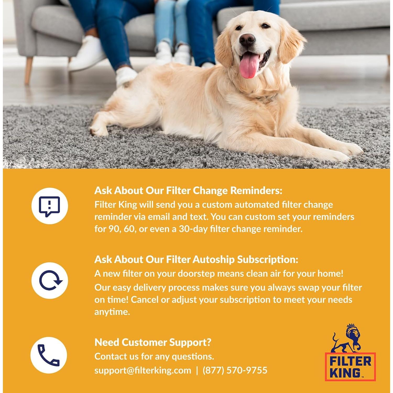 Filtro de Aire Filtro Rey MERV 13 4-Pack 5.88x12.13x1 cm