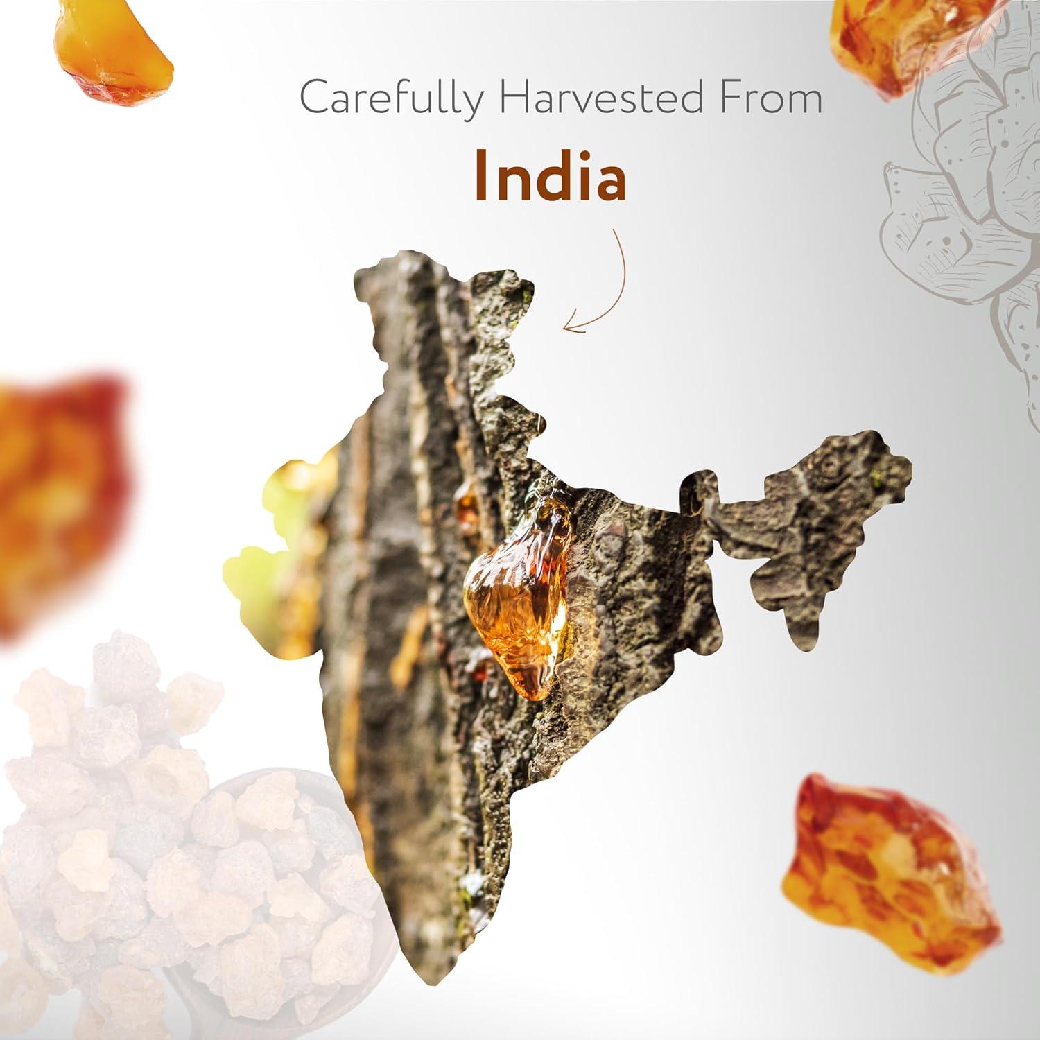 Aceite Esencial de Incienso Orgánico HBNO Roll-On 10 ml