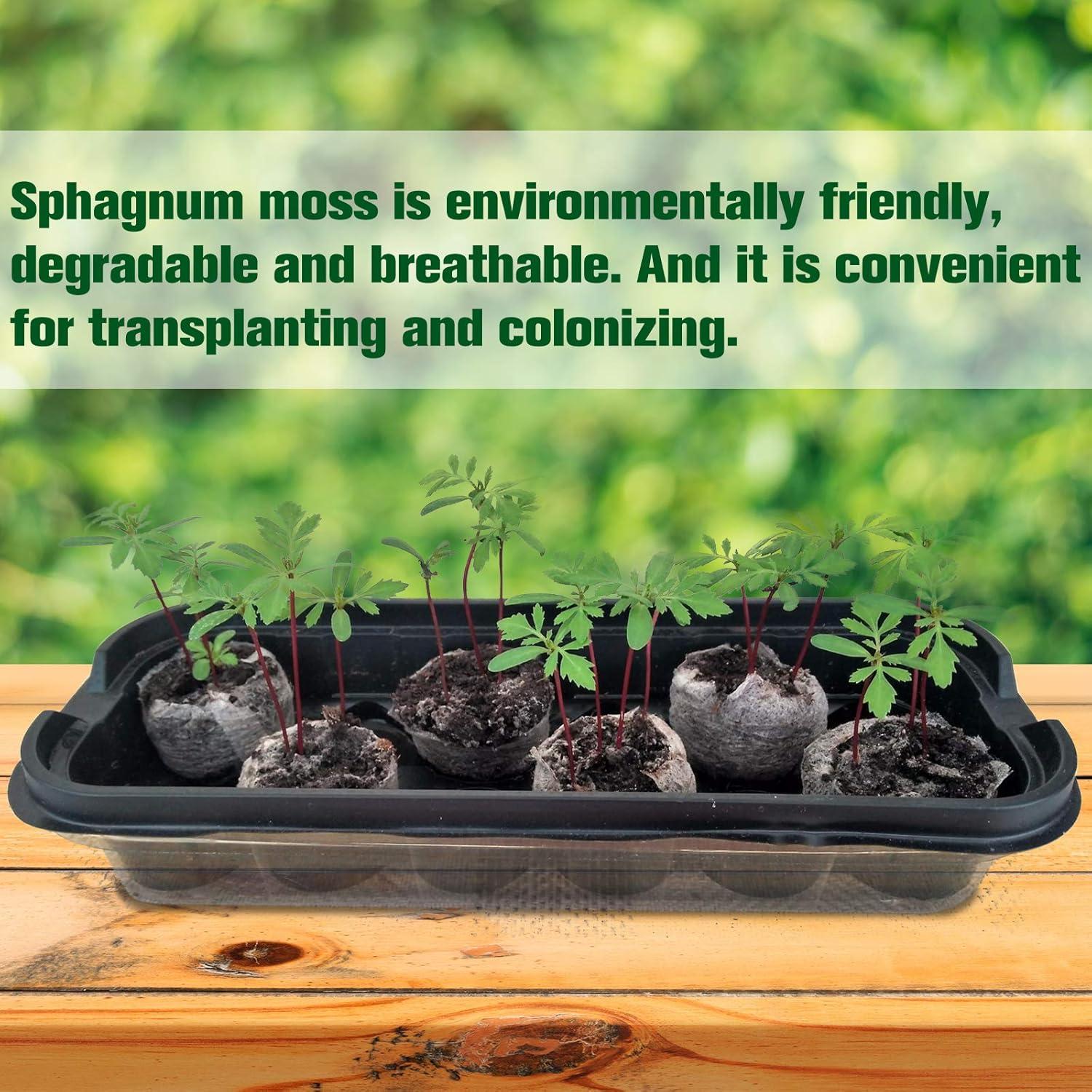 Pellets de Turba Comprimida ZeeDix 30mm 50 Pcs para Plantas