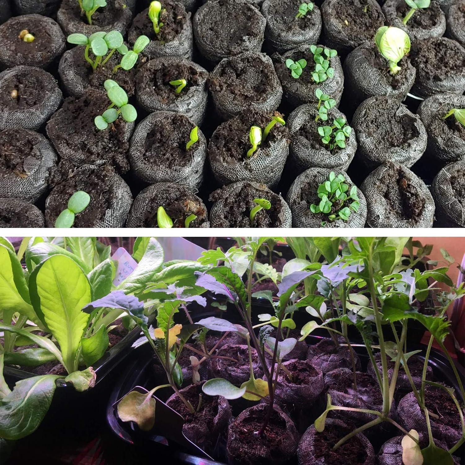 Pellets de Turba Comprimida ZeeDix 30mm 50 Pcs para Plantas