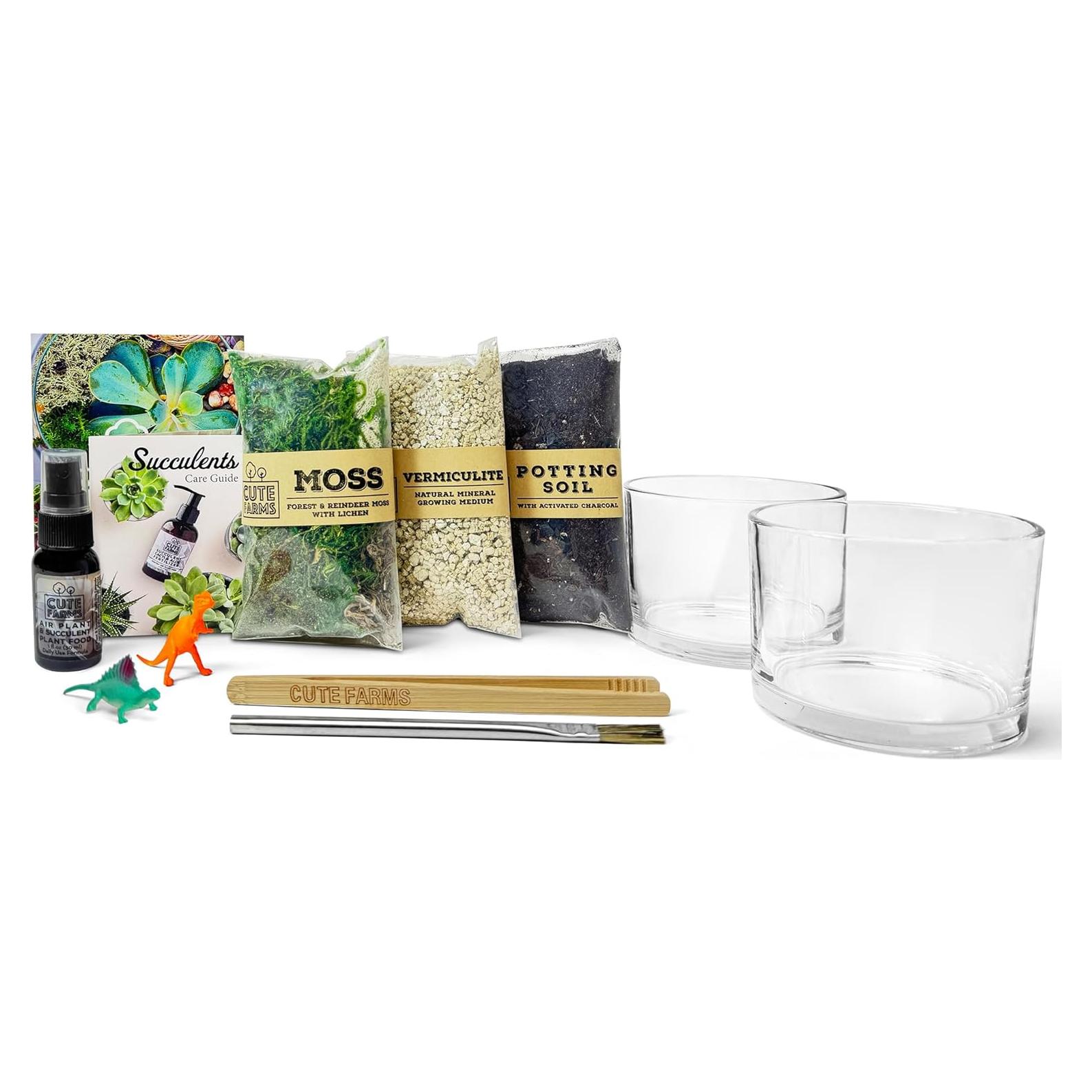 Kit de Terrario de Vidrio Cute Farms - 2 Cilindros 10.16 cm