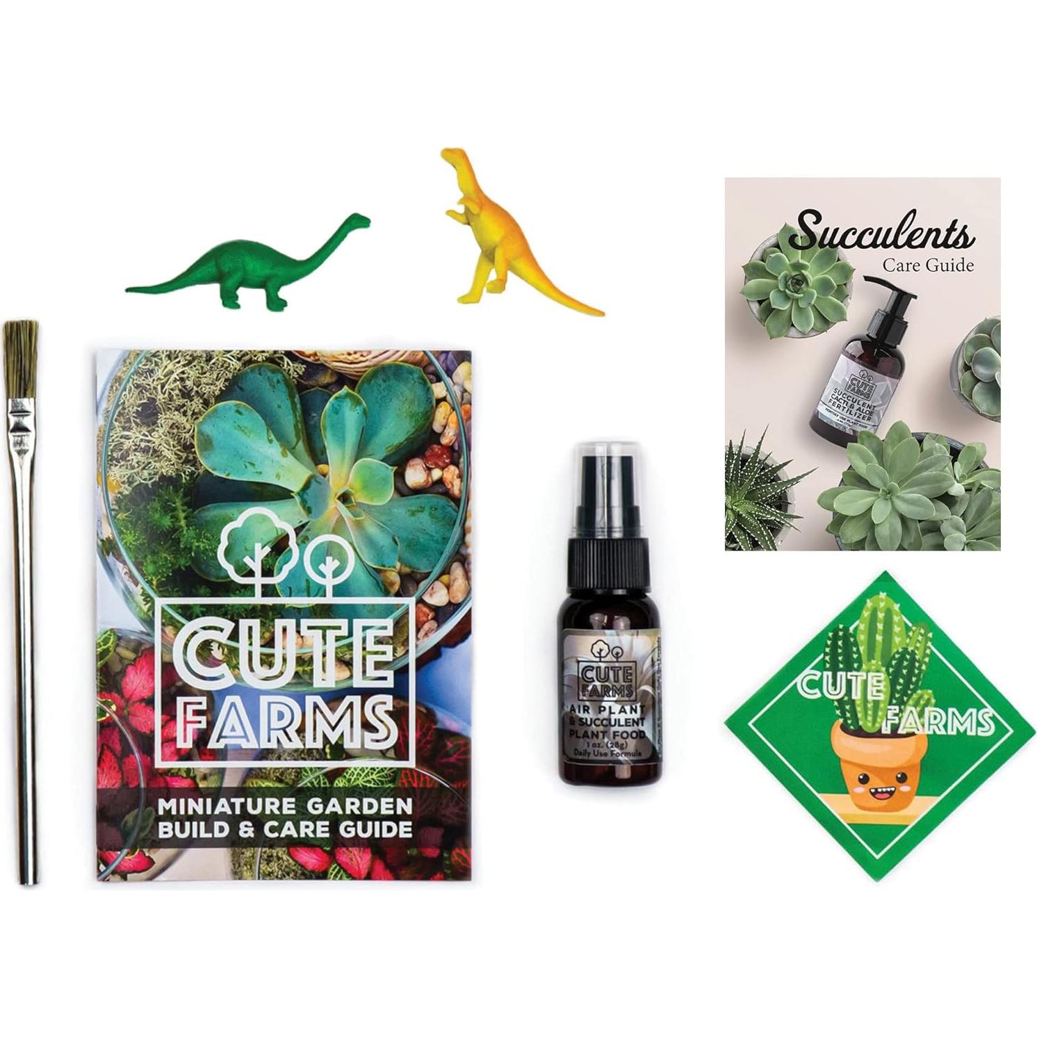 Kit de Terrario de Vidrio Cute Farms - 2 Cilindros 10.16 cm