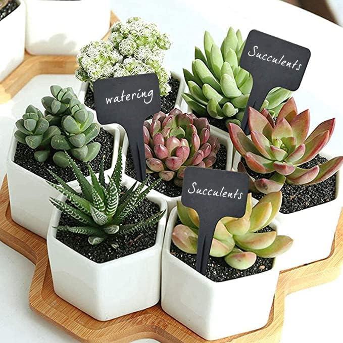 100 Etiquetas de Jardín Reutilizables DaTpuik Tipo T Negras