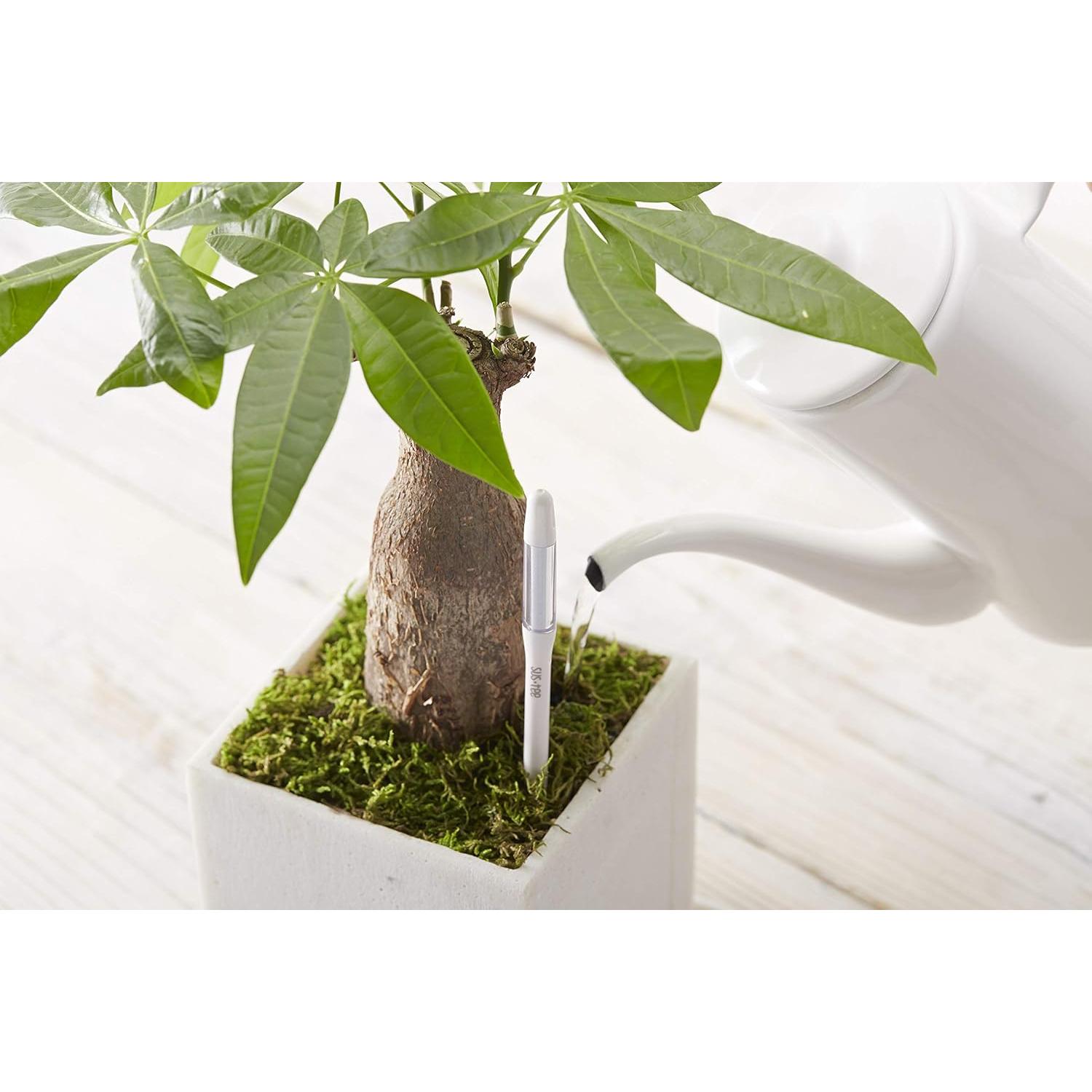 Sensor de Humedad del Suelo SUSTEE Aquameter Set de 5 Verde