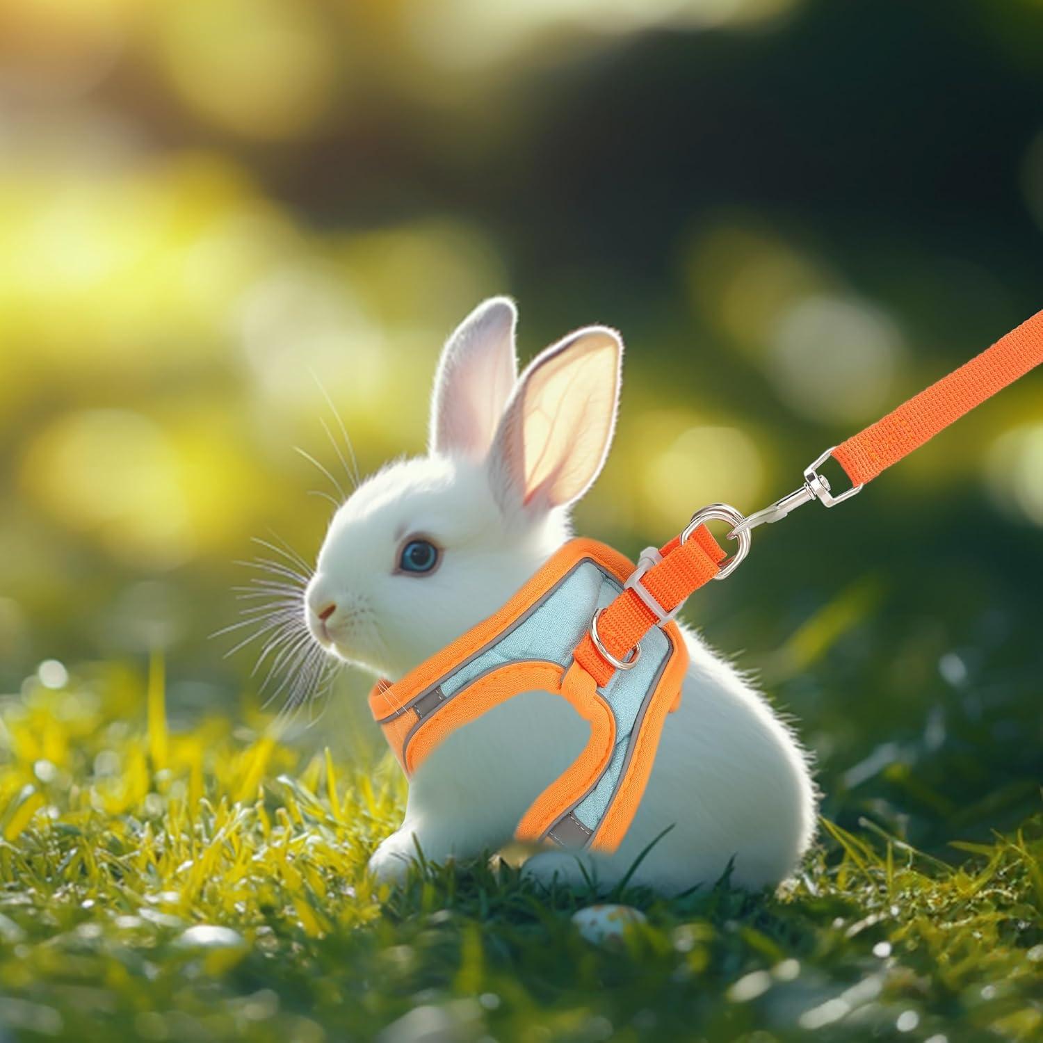 Arnés y Correa Ajustable Timwaygo para Conejo S Reflectante