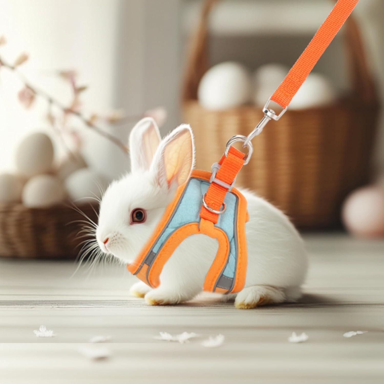 Arnés y Correa Ajustable Timwaygo para Conejo S Reflectante