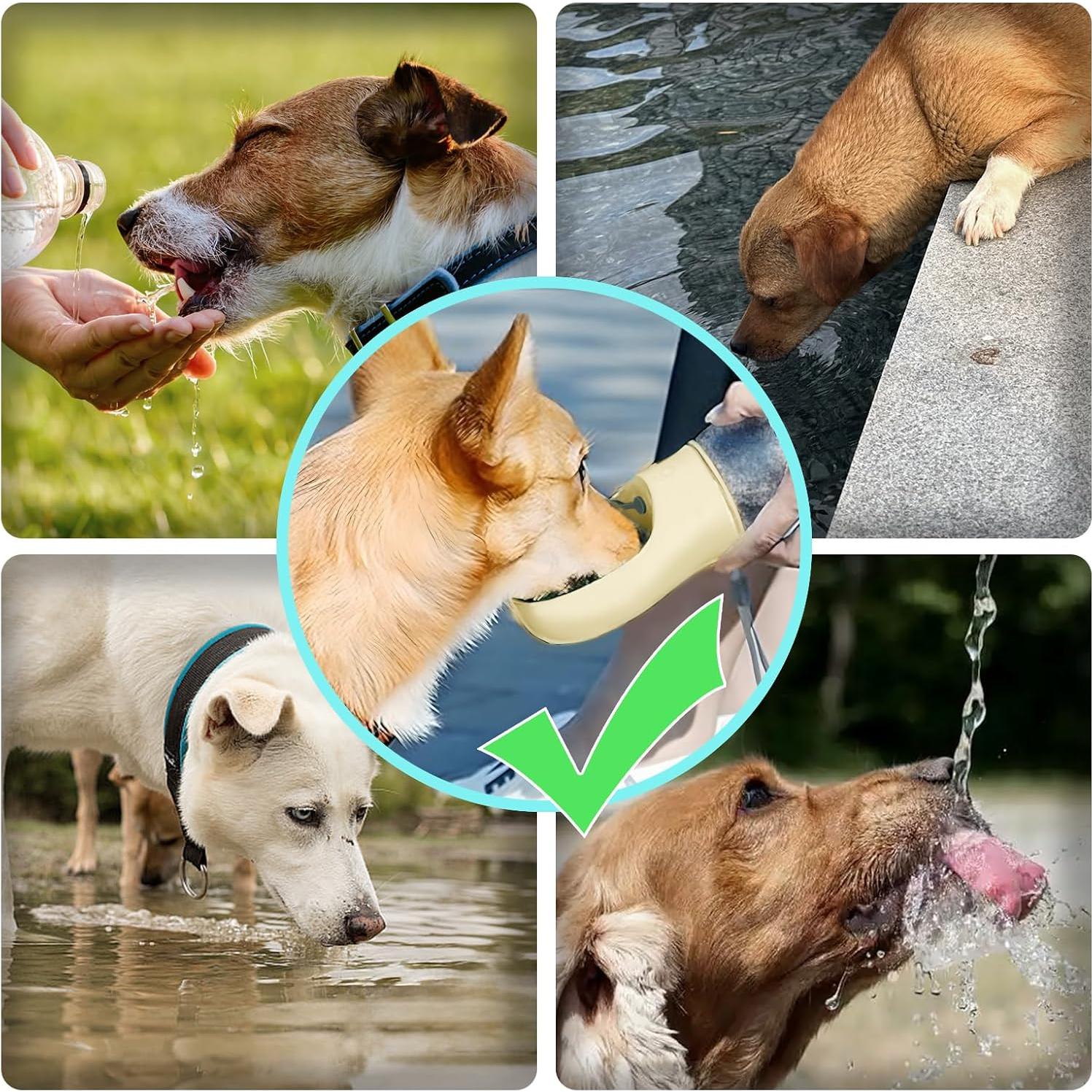 Botella de Agua para Perros Kalimdor 350ml a Prueba de Fugas