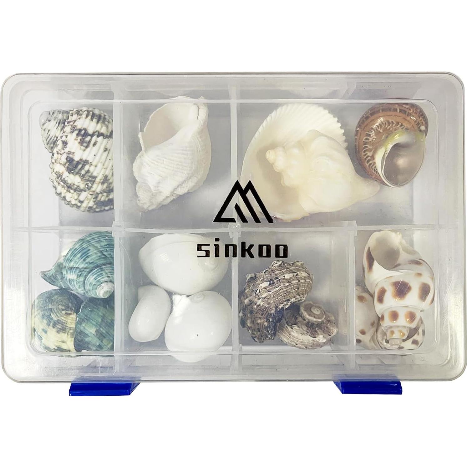 Conchas de Cangrejo Ermitaño SINKOO 17PCS Tamaño 1.5-4.1 cm