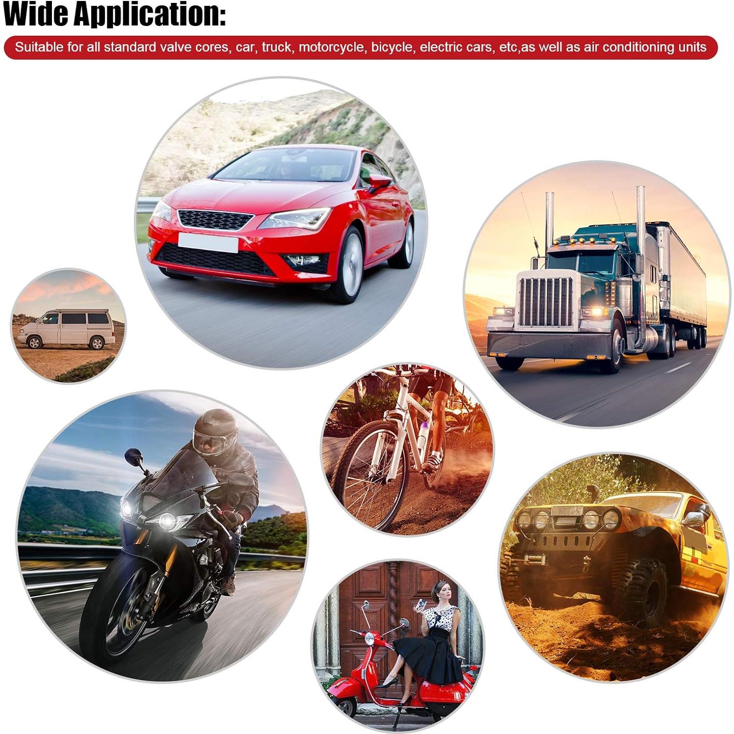 Herramienta de Extracción de Vástago de Válvula ZHSMS - 20 Núcleos y 10 Tapas