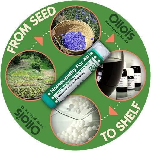 OLLOIS Arnica Montana 30x Orgánico 80 Gránulos Homeopáticos