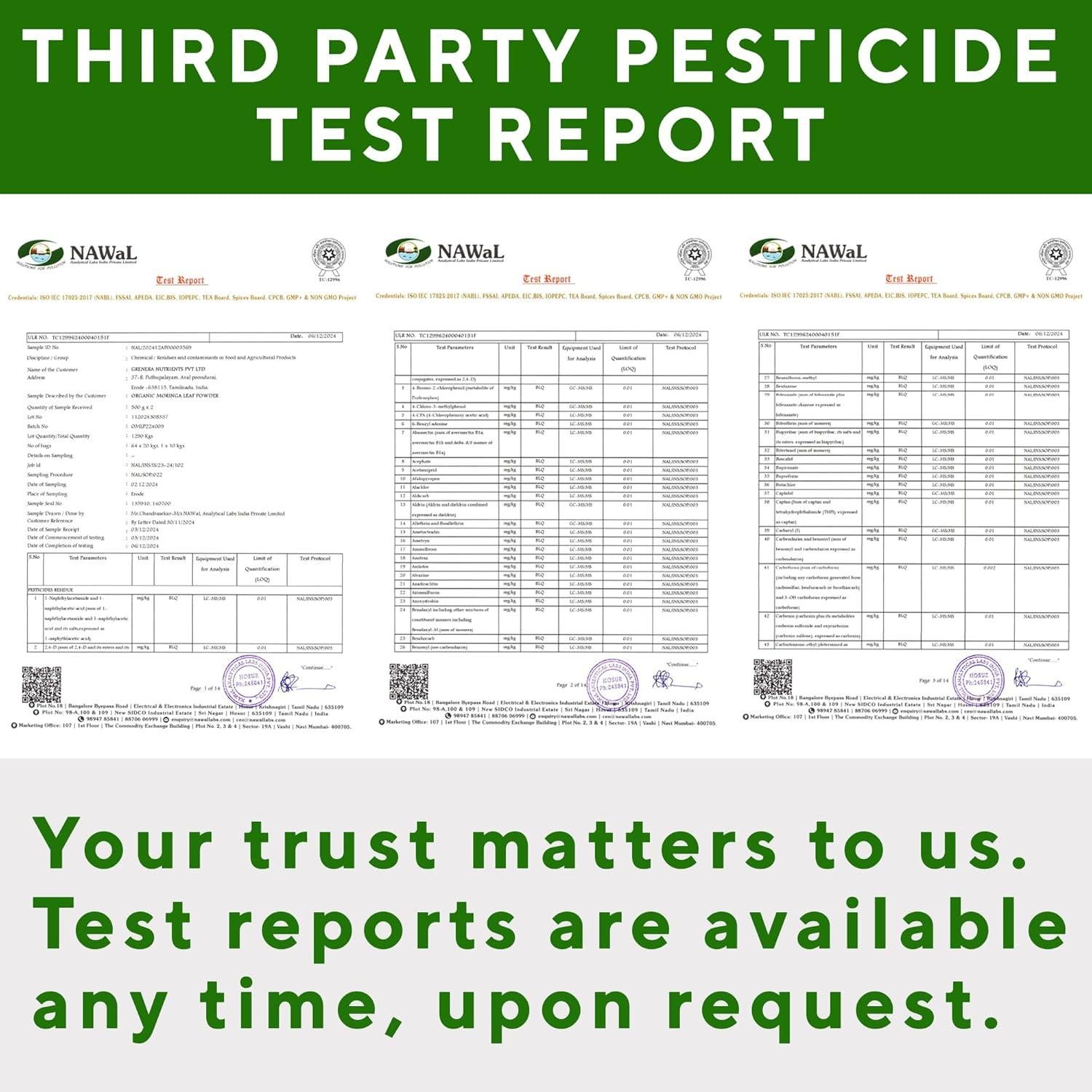 Polvo de Moringa Orgánico Grenera 1 kg - Sin Aditivos