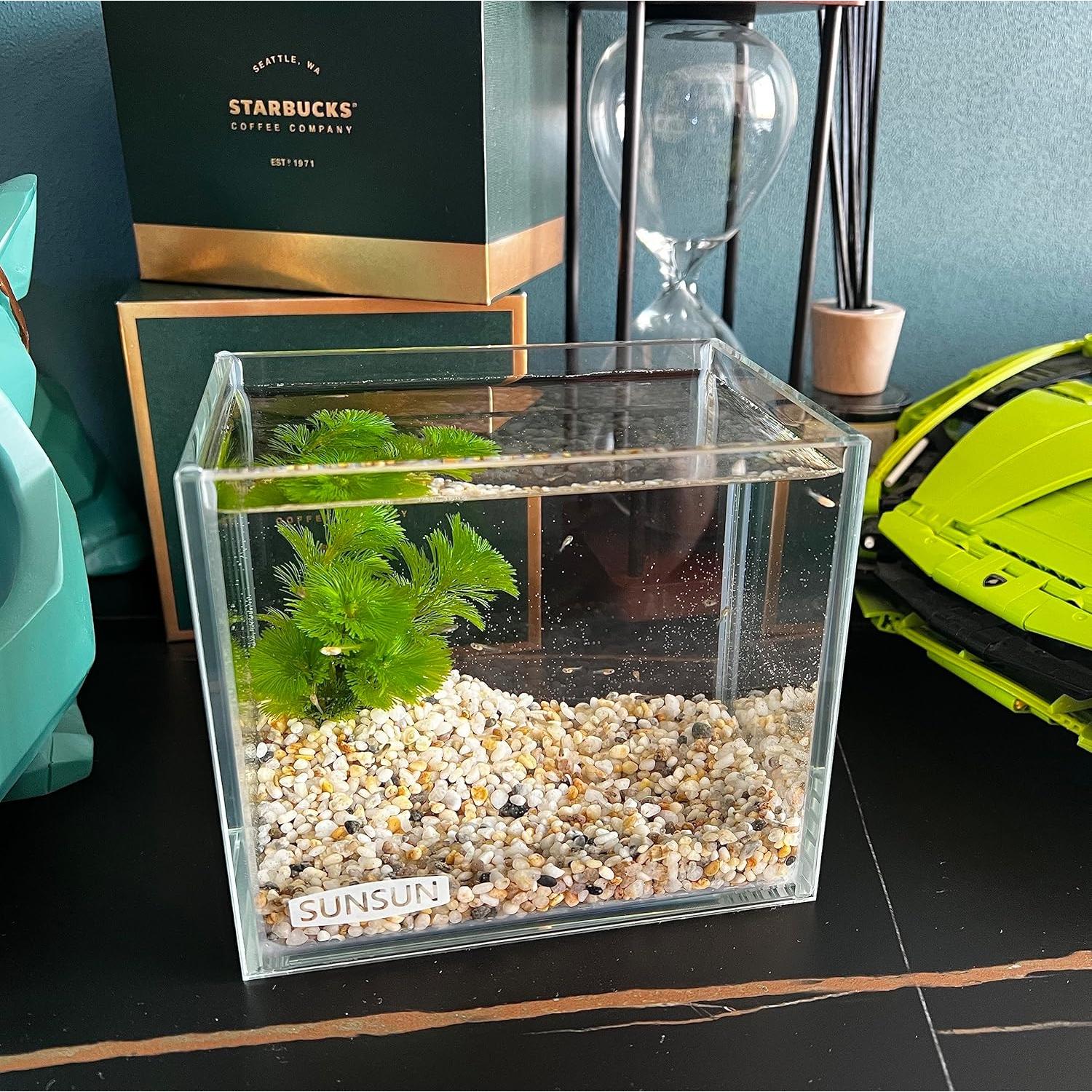 Acuario Nano Sin Borde Awxzom Tank 2.65L 15x11x13cm