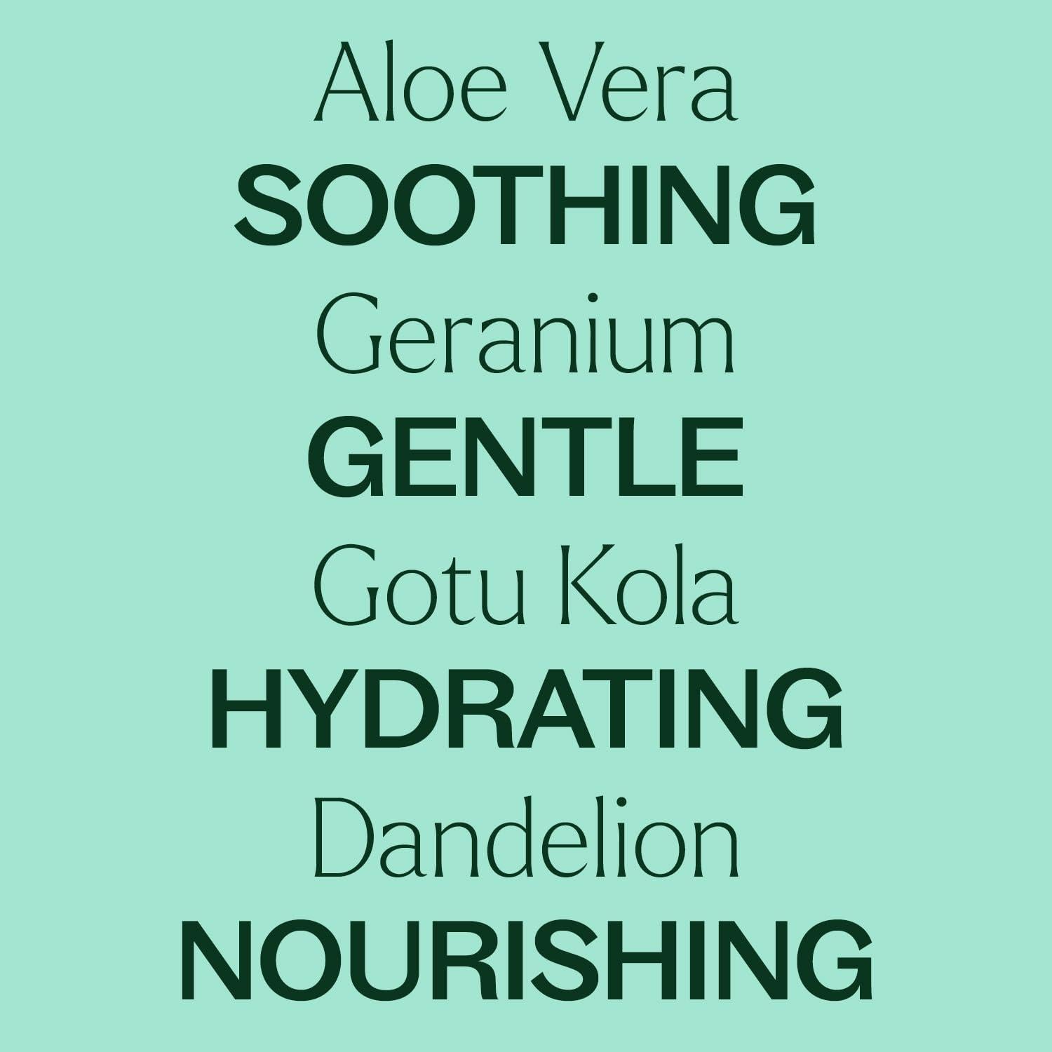 Gel de Aloe Vera Plant Therapy 113.4 g Sin Fragancia Hidratante