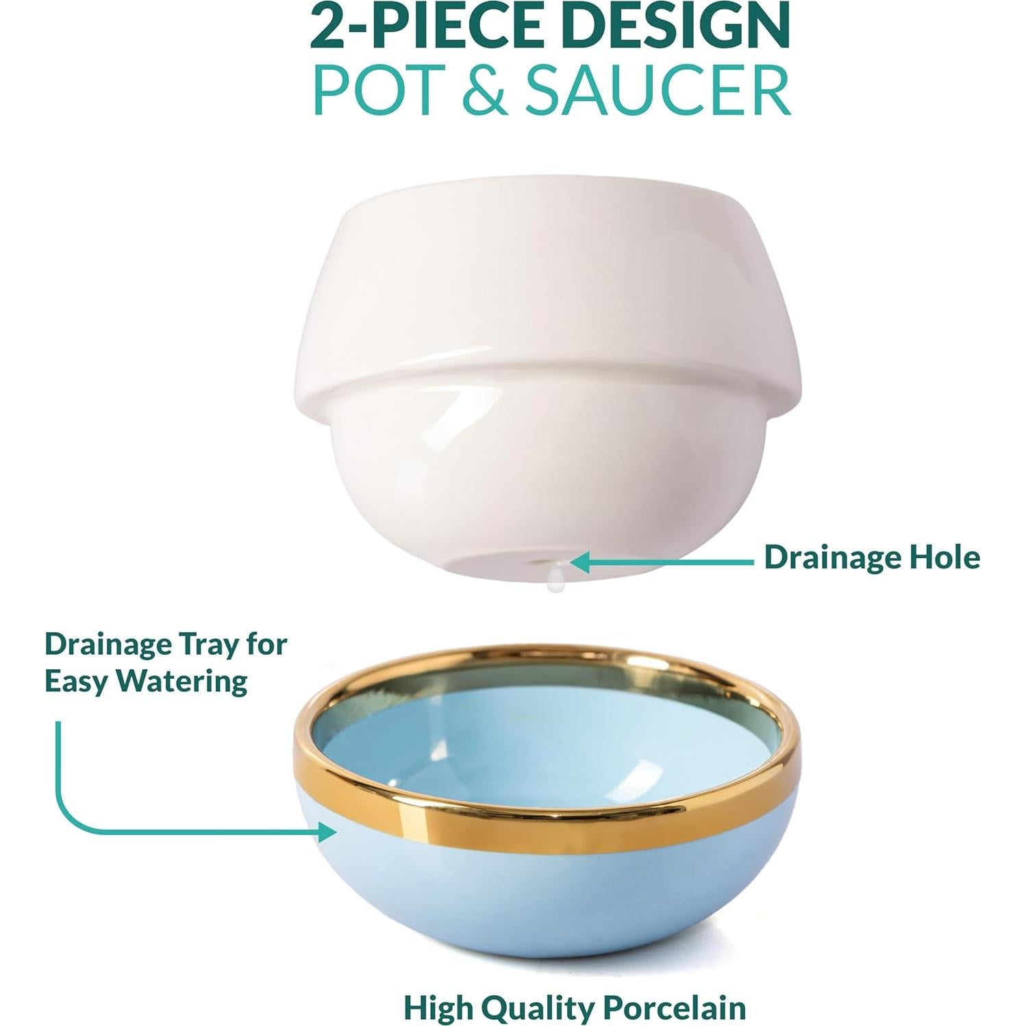 Maceta para Suculentas Willowy 8.89 cm con Drenaje Azul