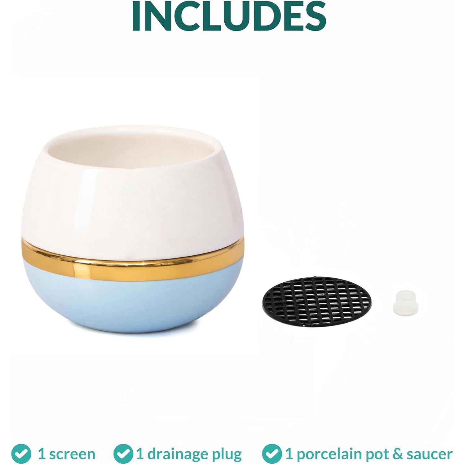 Maceta para Suculentas Willowy 8.89 cm con Drenaje Azul