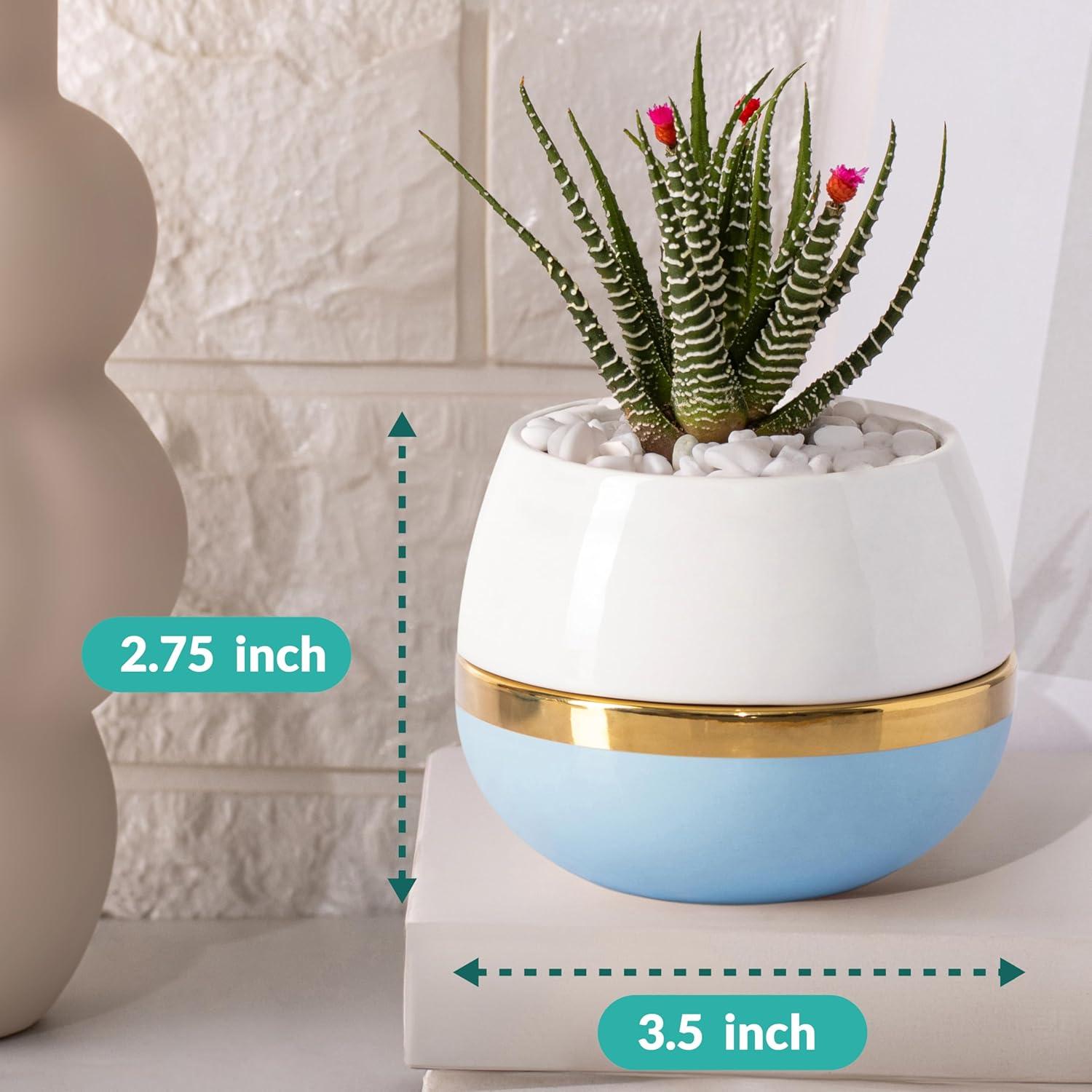 Maceta para Suculentas Willowy 8.89 cm con Drenaje Azul