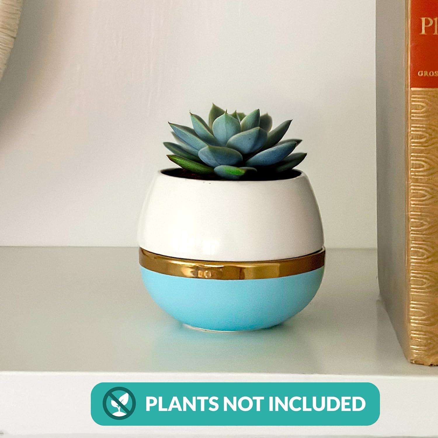 Maceta para Suculentas Willowy 8.89 cm con Drenaje Azul