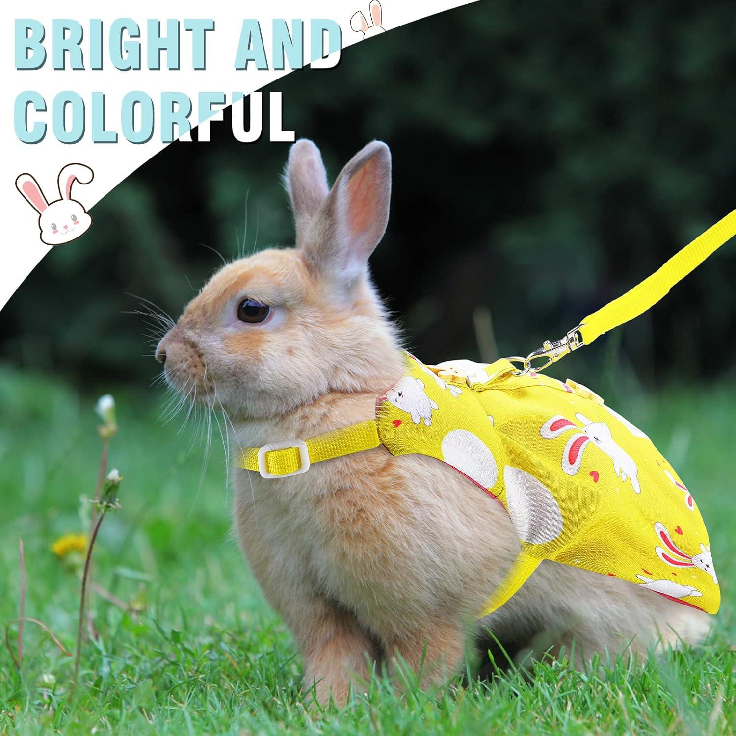 Conjunto de Arnés y Correa para Conejos Weewooday - 3 Piezas