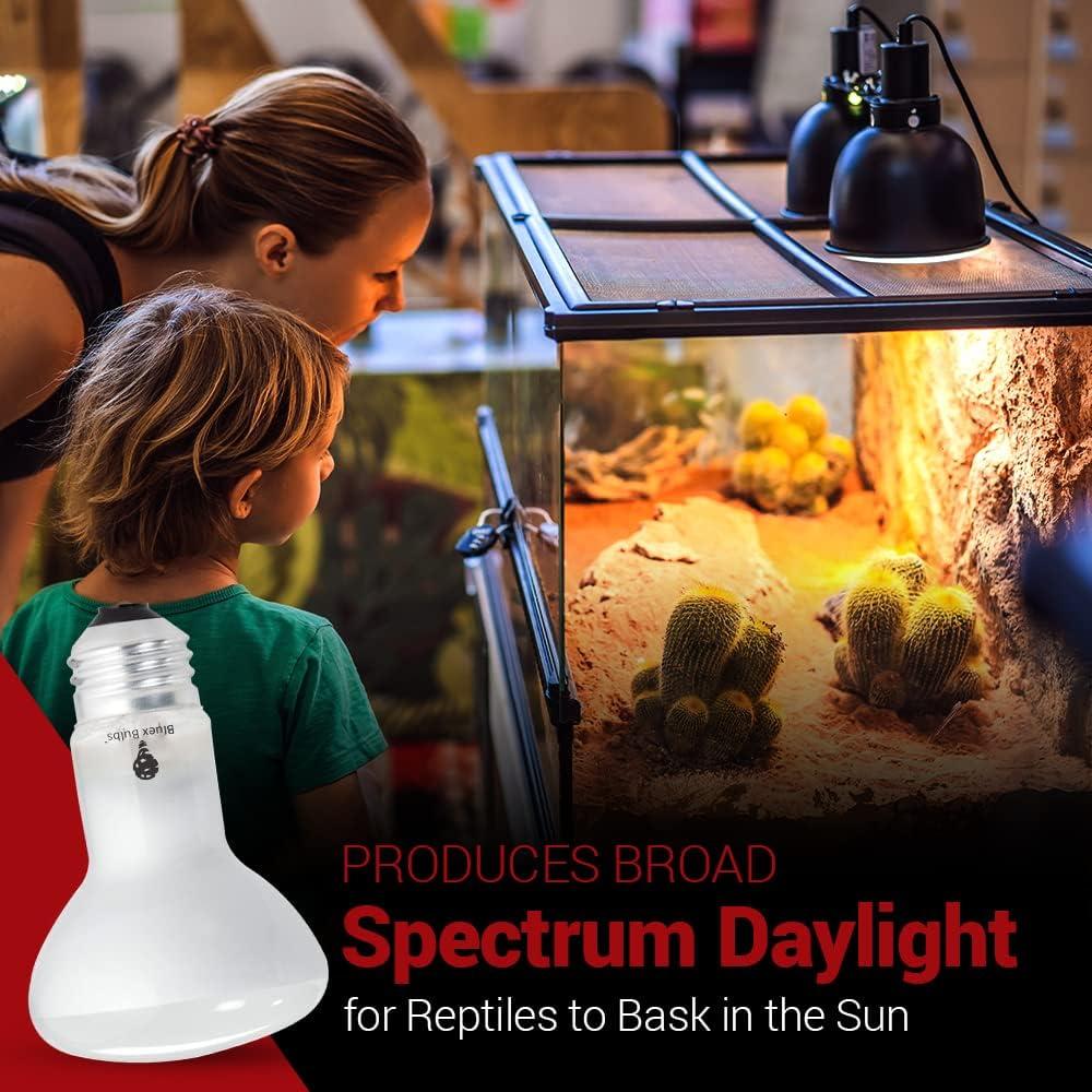 Paquete de 4 bombillas de calor 50W Bluex Bulbs para reptiles
