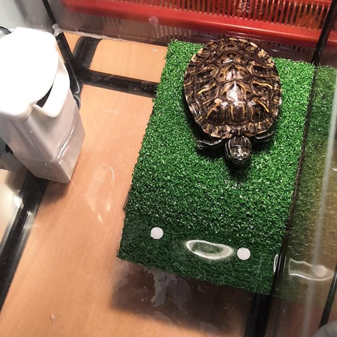 Plataforma de Sol para Tortugas HIERYAN - Acrílico 17.95x11.99cm