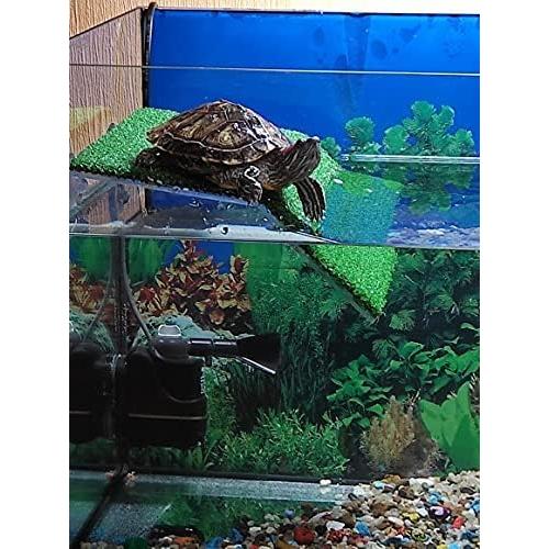 Plataforma de Sol para Tortugas HIERYAN - Acrílico 17.95x11.99cm