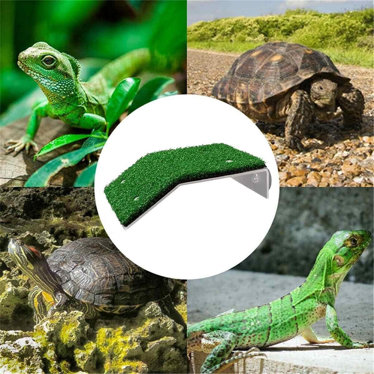 Plataforma de Sol para Tortugas HIERYAN - Acrílico 17.95x11.99cm