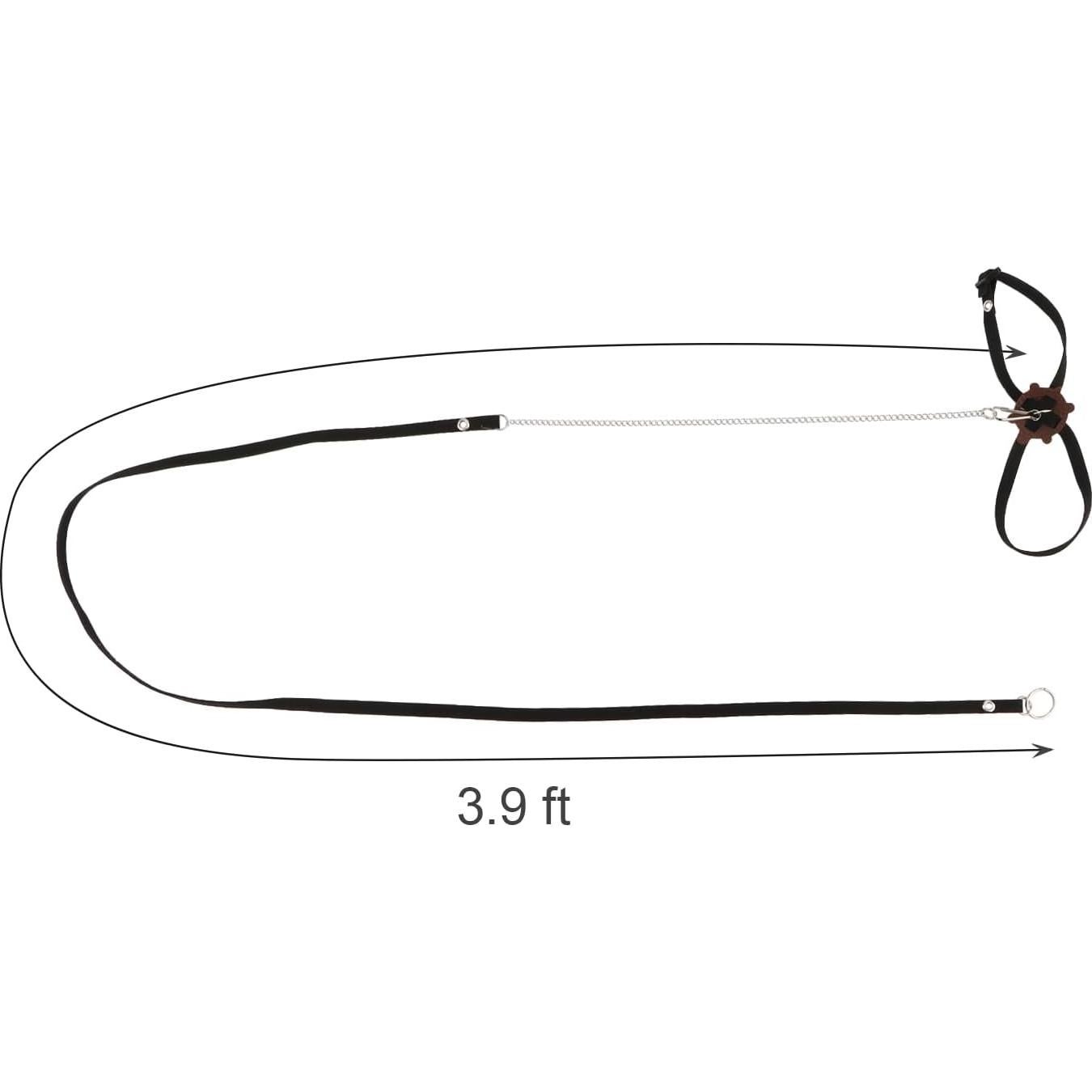 Paquete de 2 Arnés y Correa Ajustable para Reptiles Wontee Negro