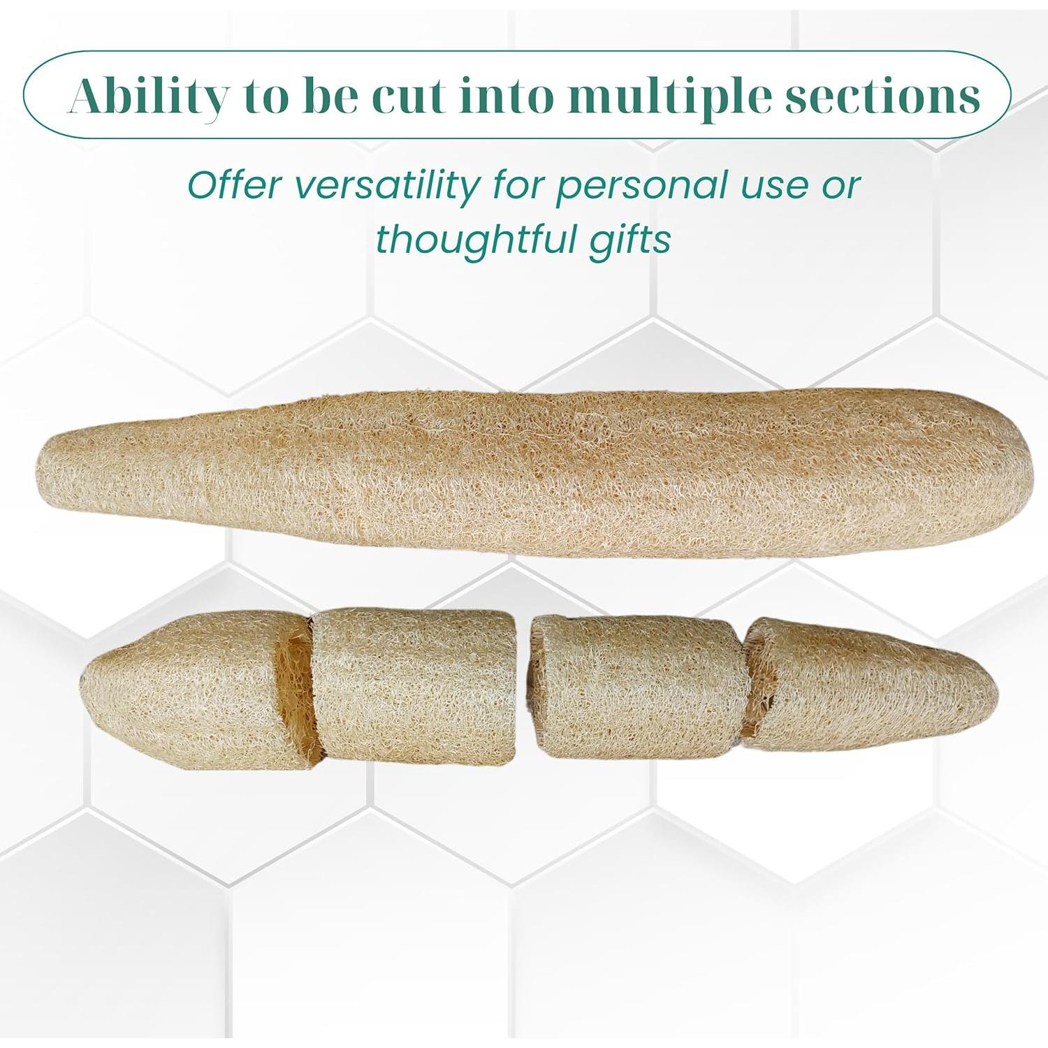 Juego de 5 Esponjas de Lufa Natural Exfoliantes LUFAFY