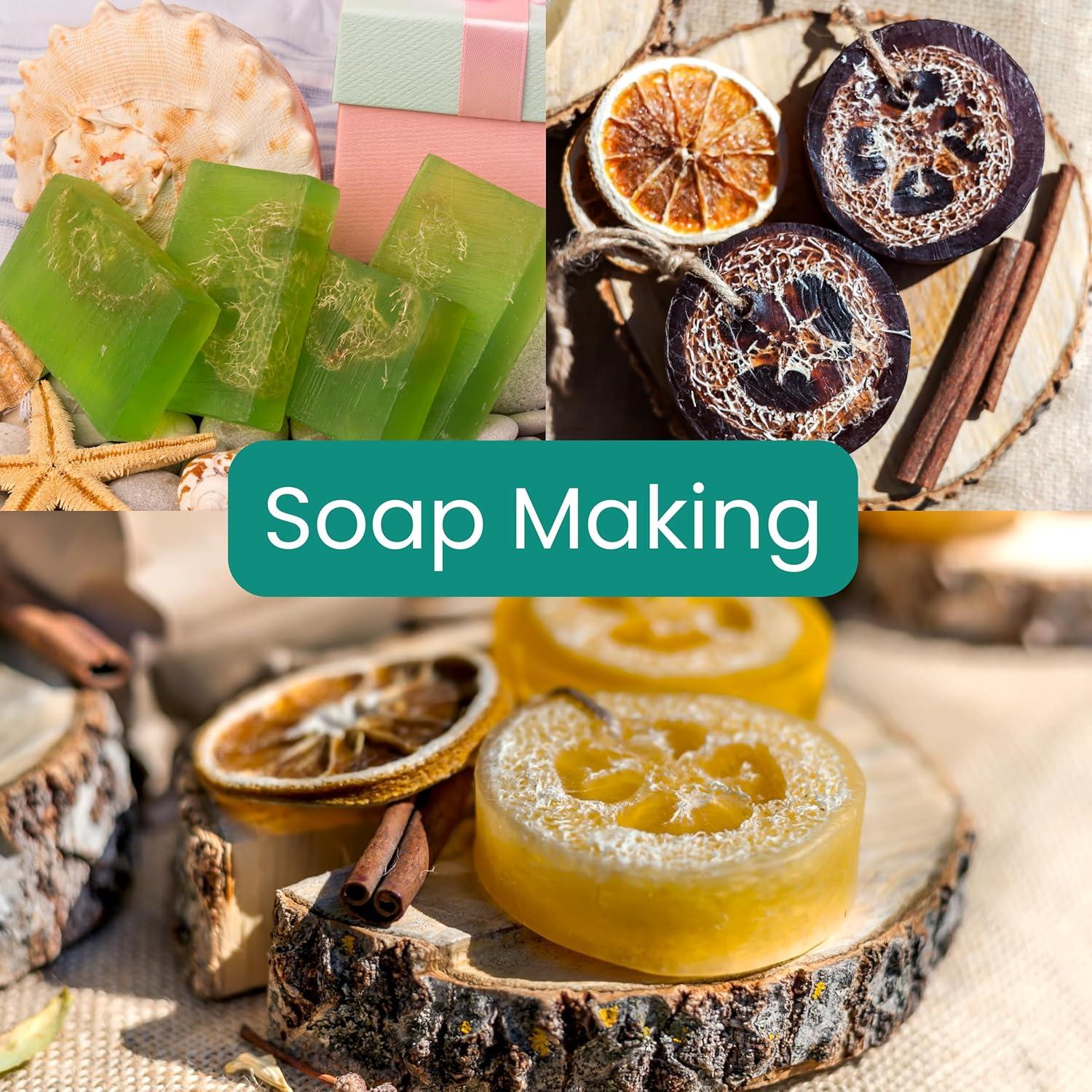 Juego de 5 Esponjas de Lufa Natural Exfoliantes LUFAFY