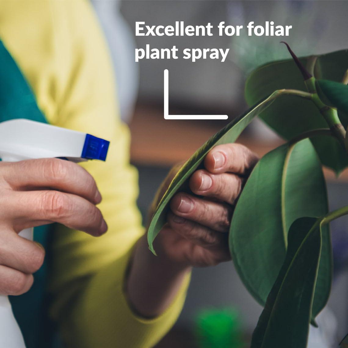 Aceite de Neem Puro Orgánico SUPERthrive 226g - Spray Foliar