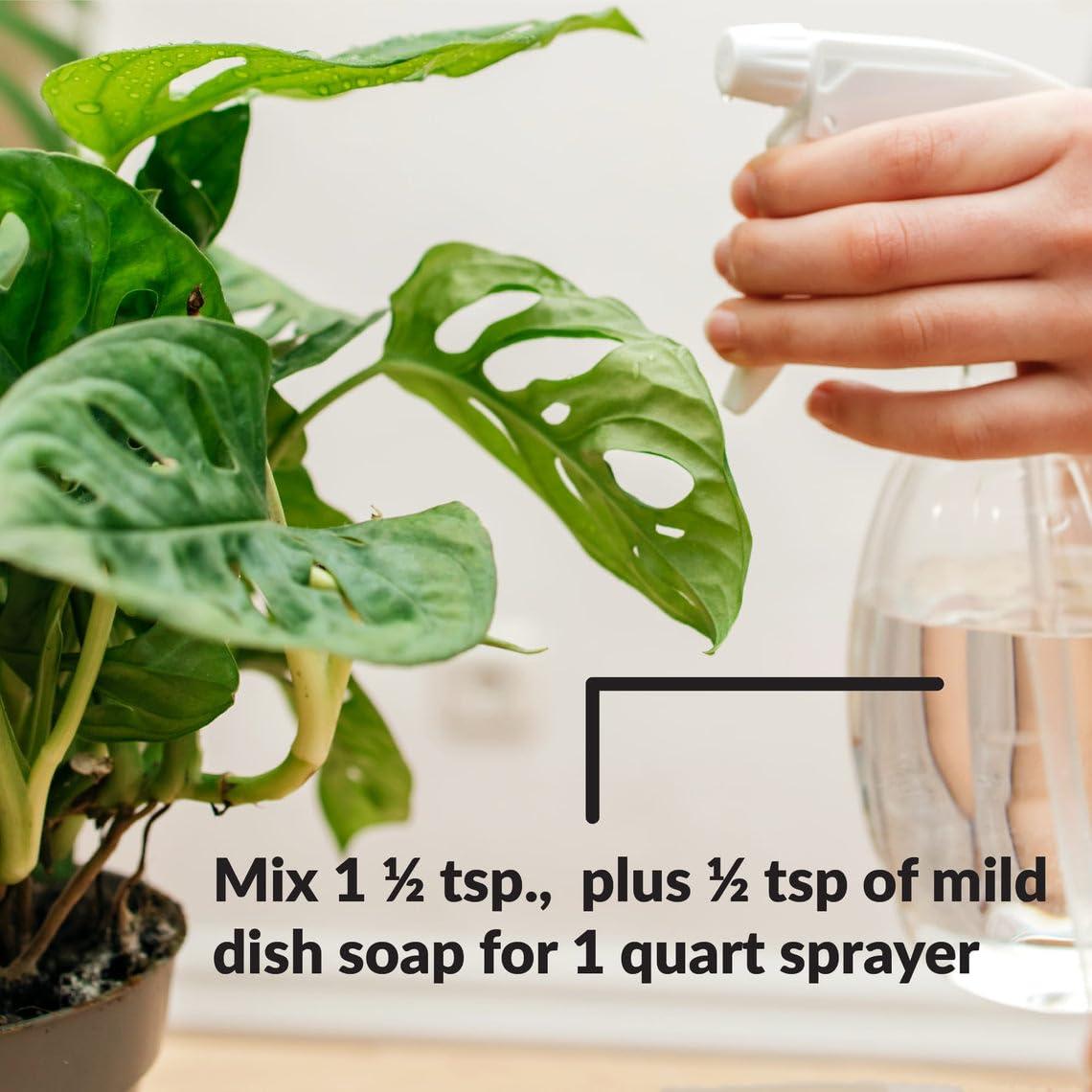 Aceite de Neem Puro Orgánico SUPERthrive 226g - Spray Foliar