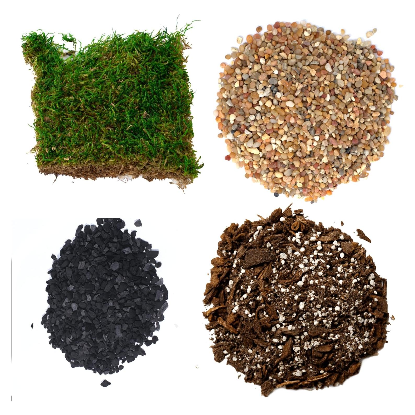 Kit de Terrario Suculentas TerraGreen - Tierra Premium 22cm