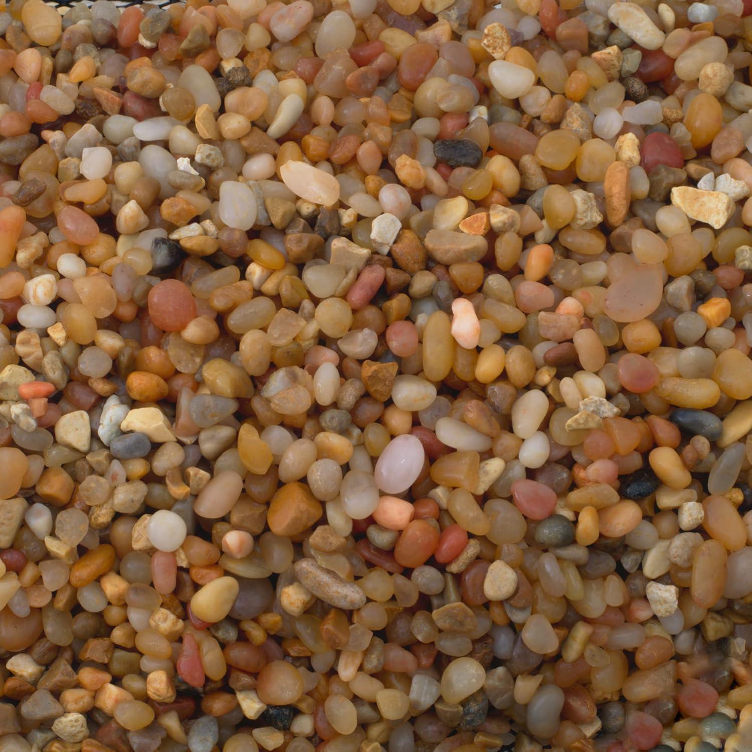 Kit de Terrario Suculentas TerraGreen - Tierra Premium 22cm