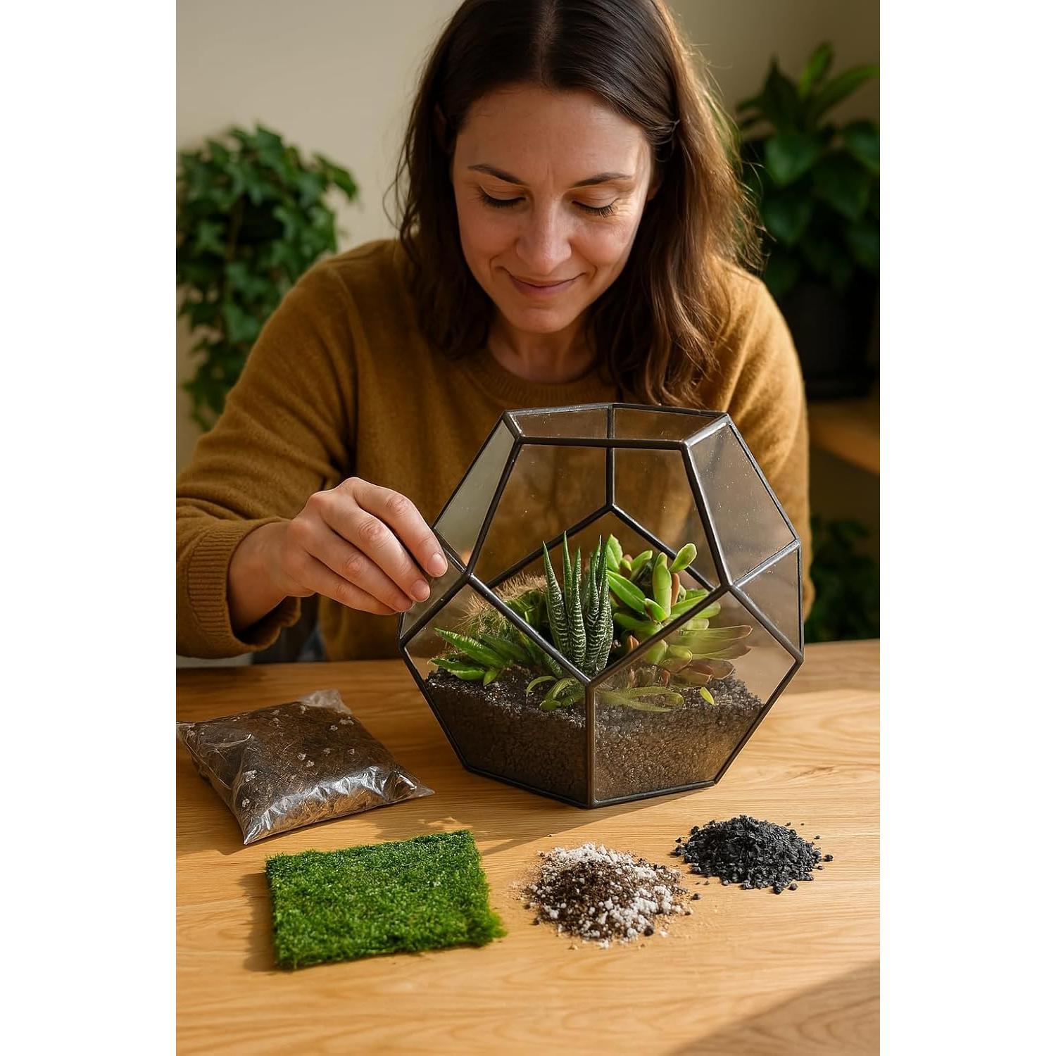 Kit de Terrario Suculentas TerraGreen - Tierra Premium 22cm