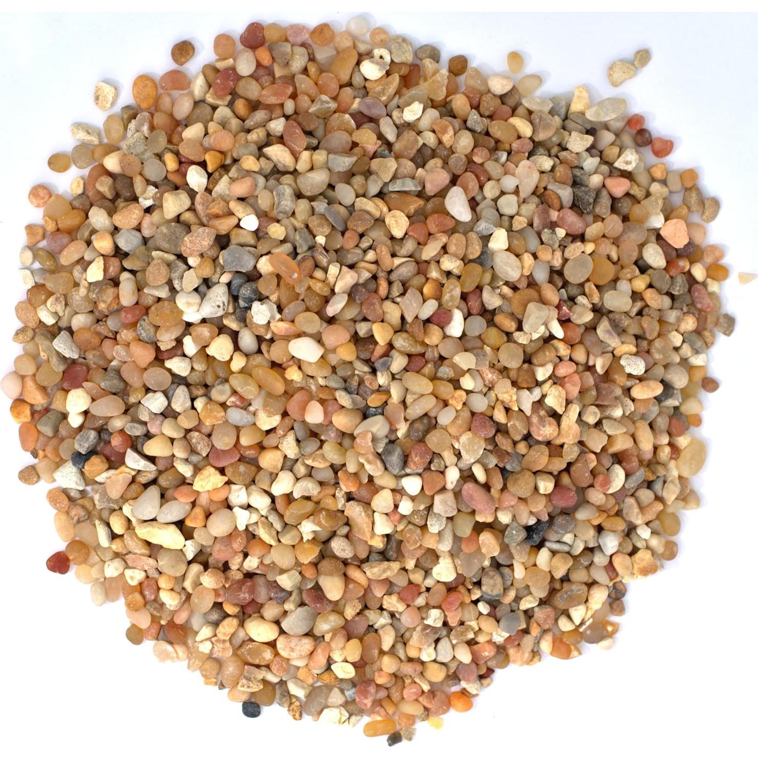 Kit de Terrario Suculentas TerraGreen - Tierra Premium 22cm