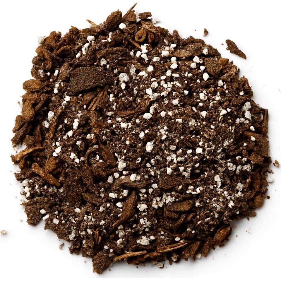 Kit de Terrario Suculentas TerraGreen - Tierra Premium 22cm