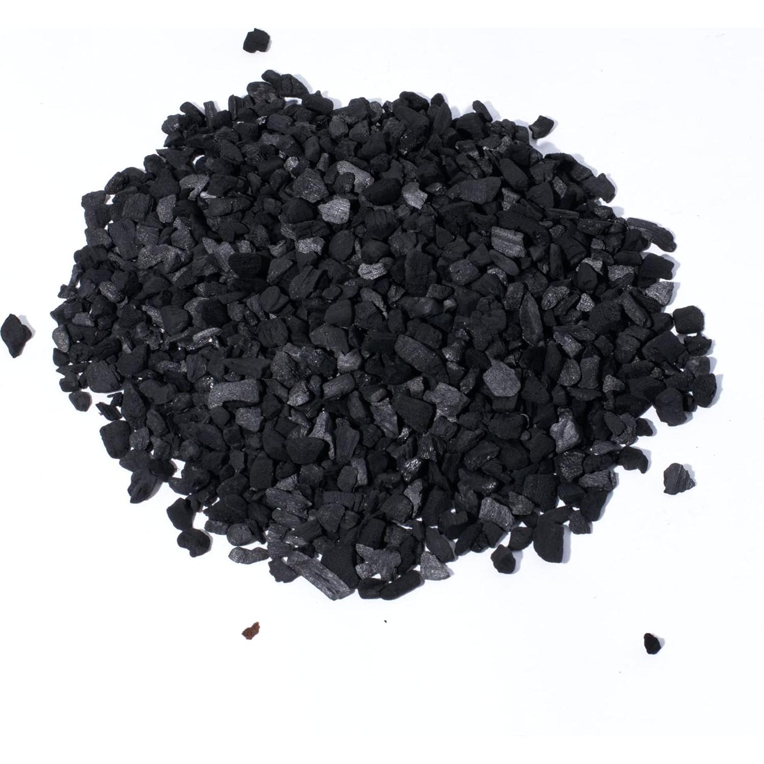 Kit de Terrario Suculentas TerraGreen - Tierra Premium 22cm