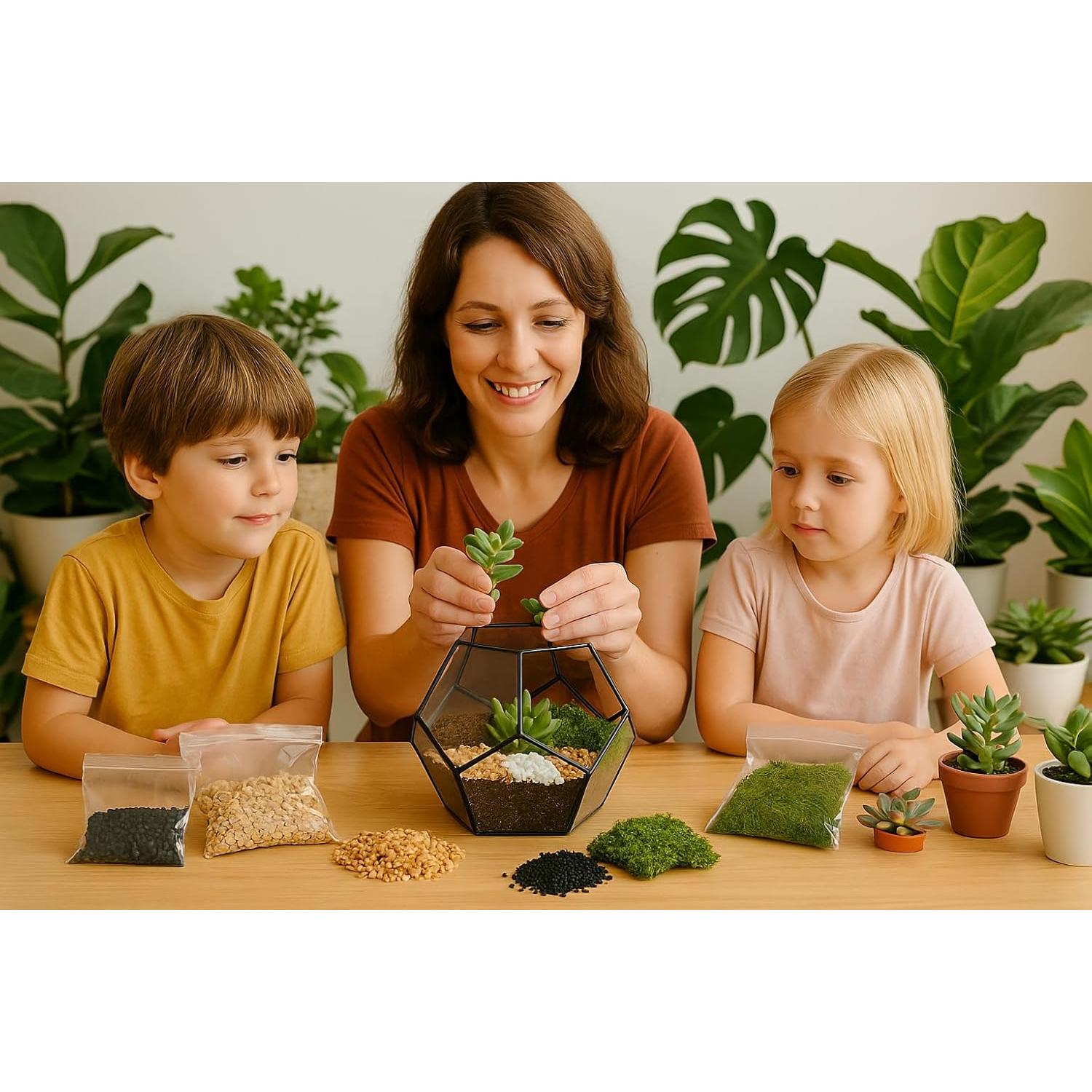 Kit de Terrario Suculentas TerraGreen - Tierra Premium 22cm