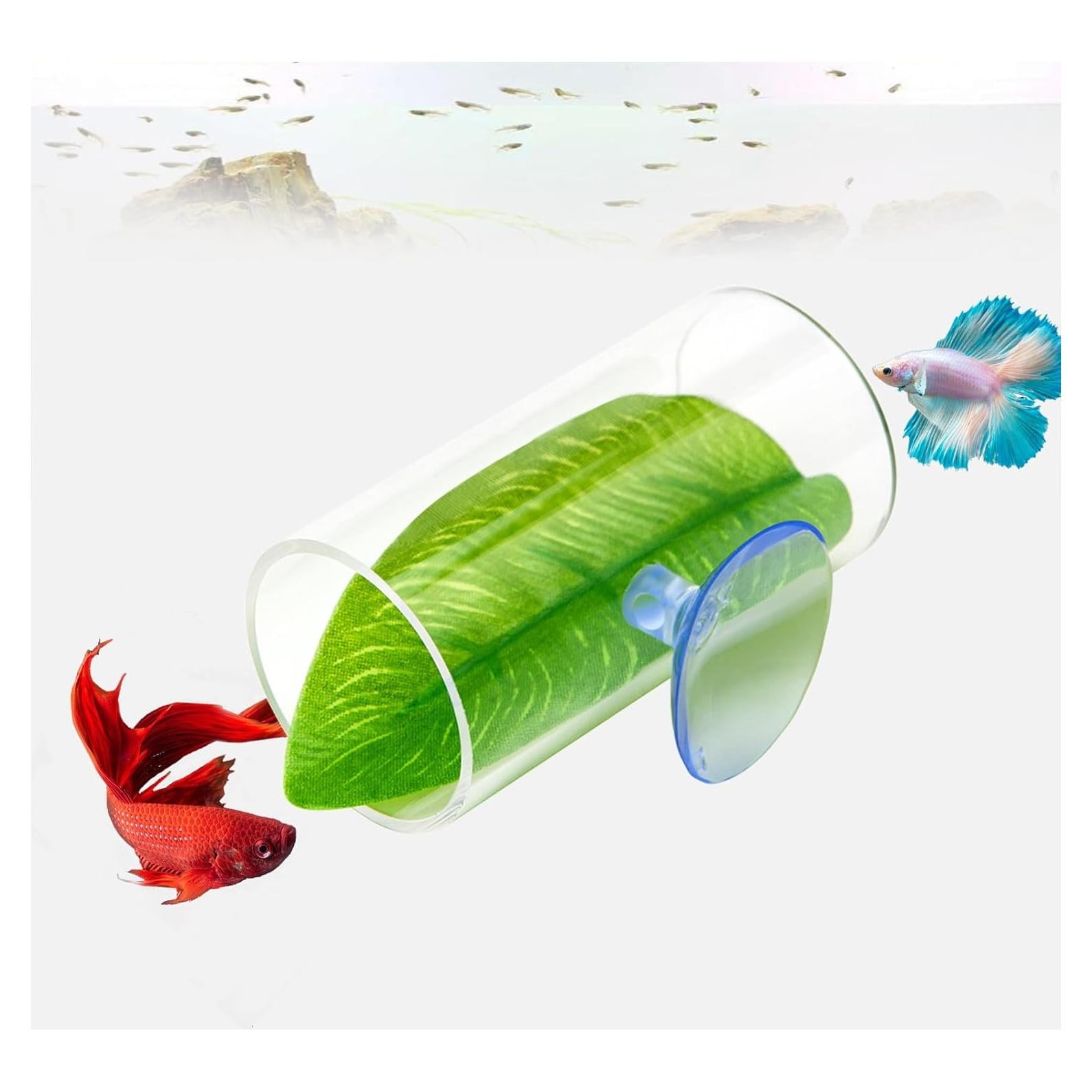 Túnel Acrílico para Peces Betta CousDUoBe 8cm con Almohadilla