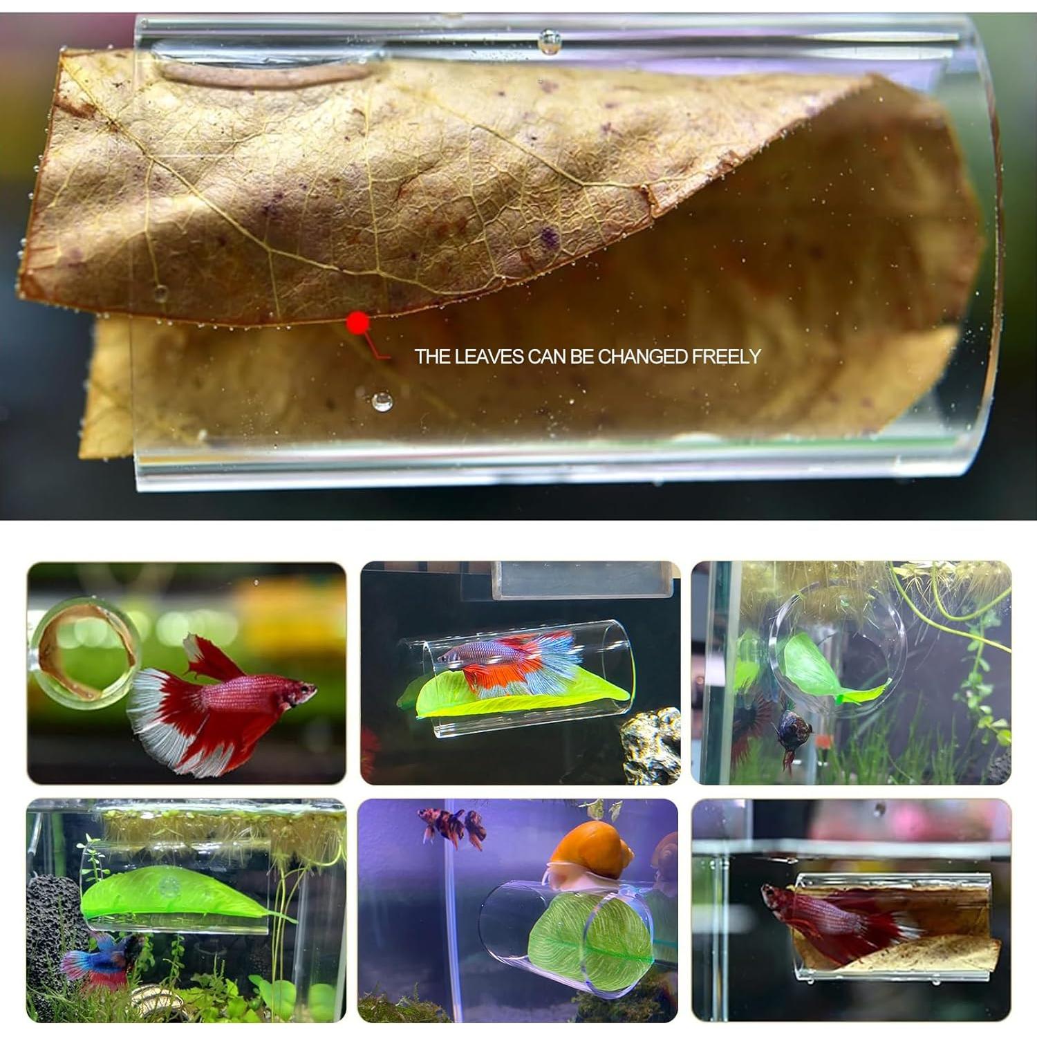 Túnel Acrílico para Peces Betta CousDUoBe 8cm con Almohadilla